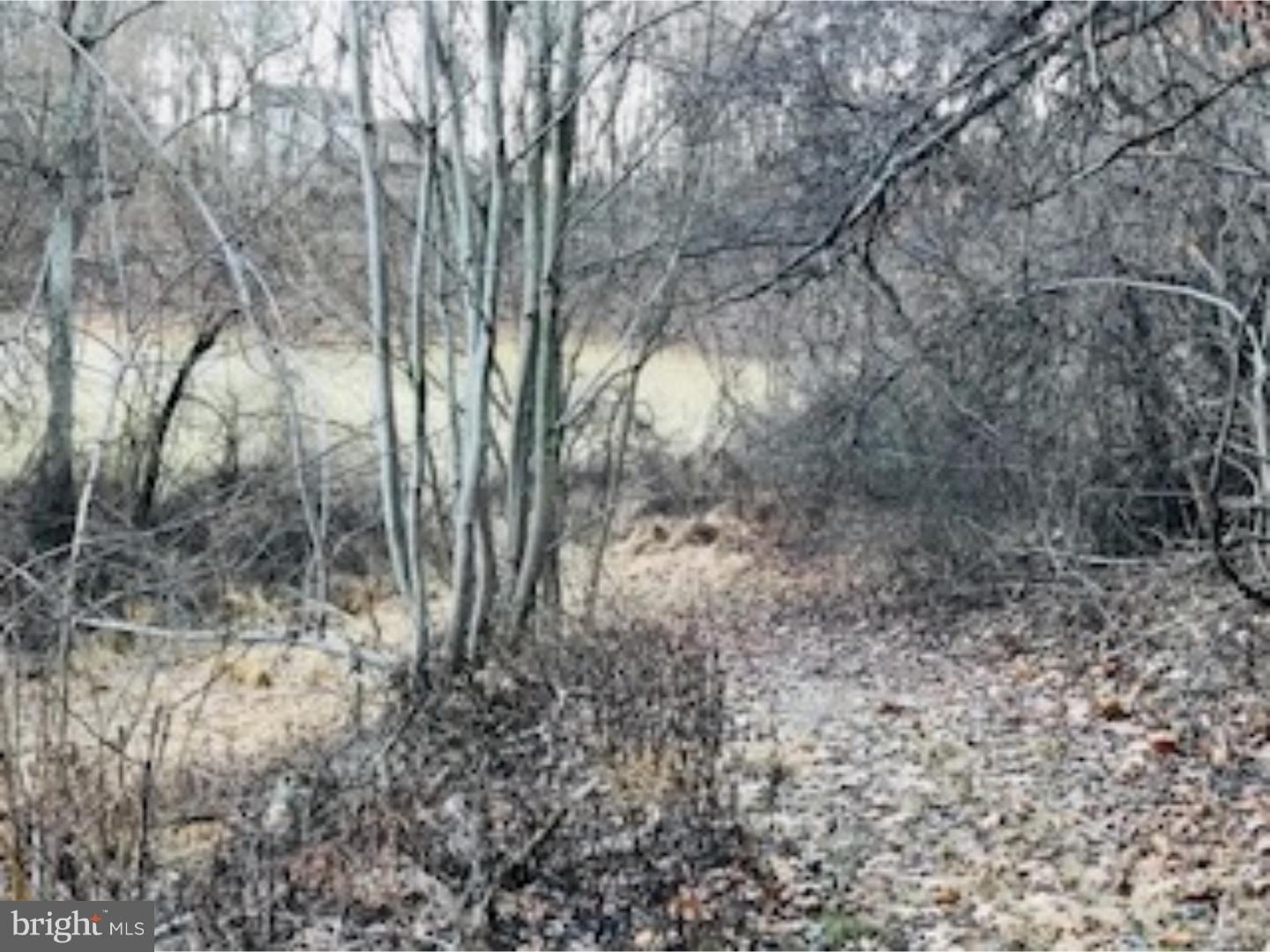 Two side-by-side lots being sold together, total 1.1 acres. Total frontage 305 feet (2232 frontage 141 feet, 2233 frontage 164 feet). Tax ID#'s 28-18-2232 and 28-18-2233. Sloping, partially wooded lots.  Opportunity abounds for home of your choice to be built on this serene acreage close to close to East Gate, Marina and Boat Ramp. Lake Wynonah is a gated community; amenities include 2 fresh-water lakes, community pool, clubhouse, social clubs, tennis/pickleball courts, waterskiing, wakeboarding, paddleboarding and 24/7 security. Photos include non-lakefront lot and lake/amenities.