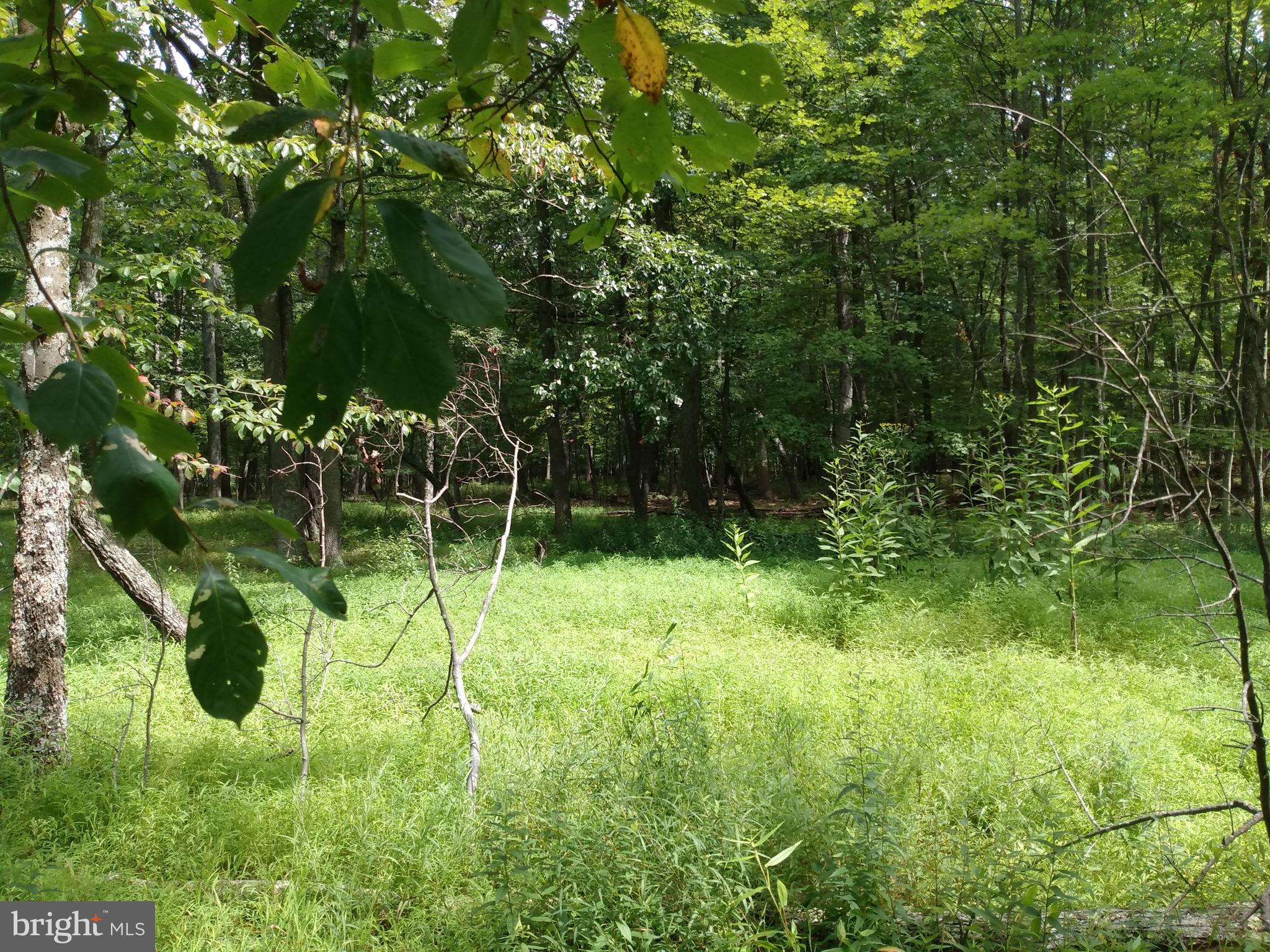 CACAPON HIGHLANDS - Land