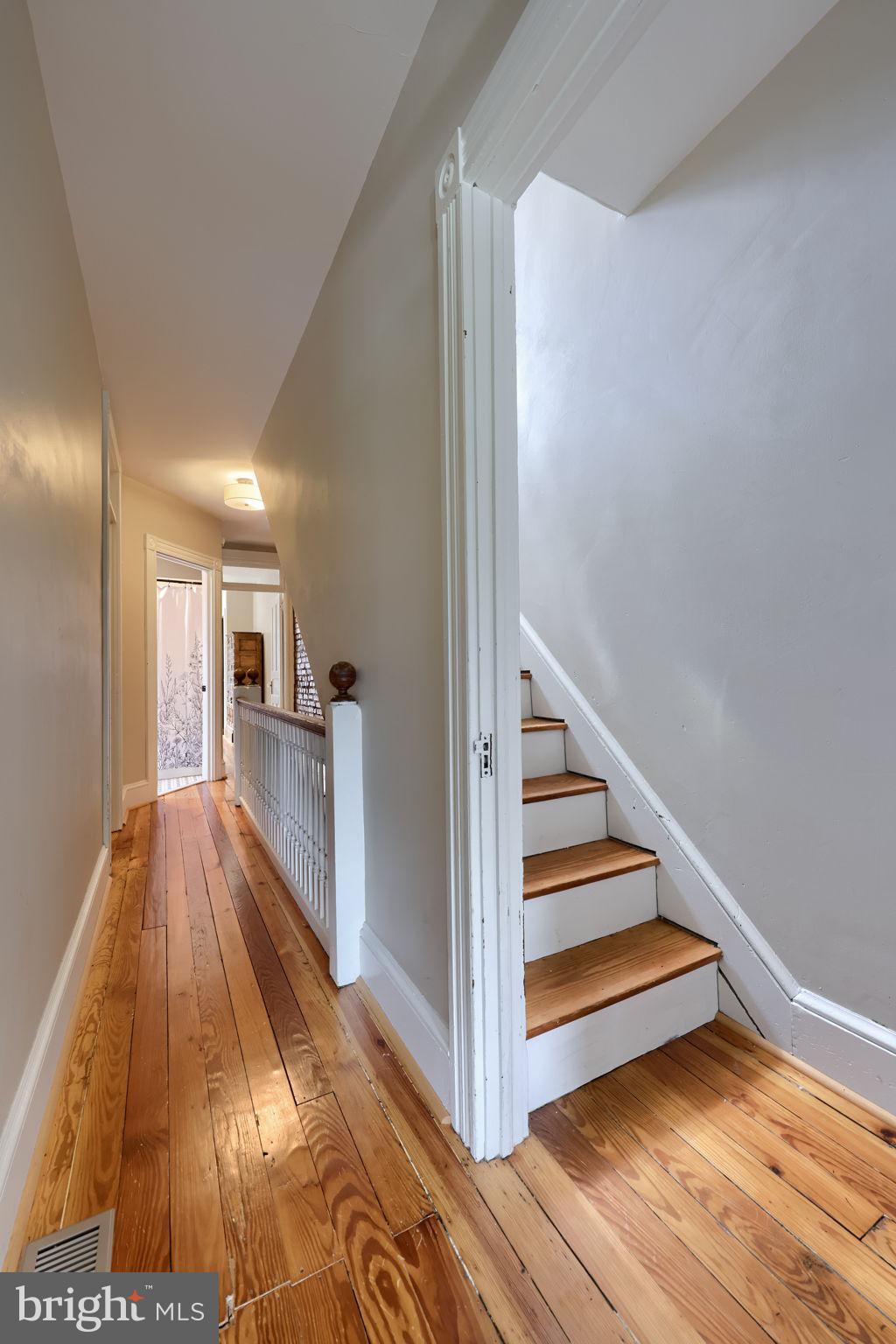 CHESTNUT HILL - Residential