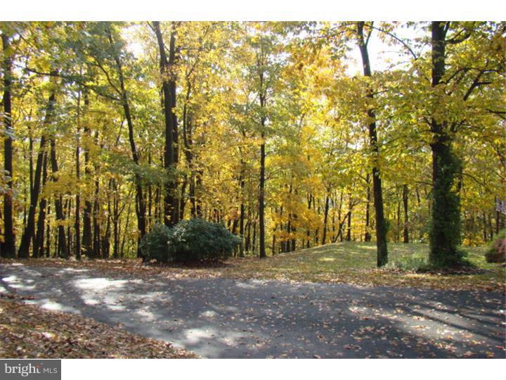 PINE GROVE - Residential