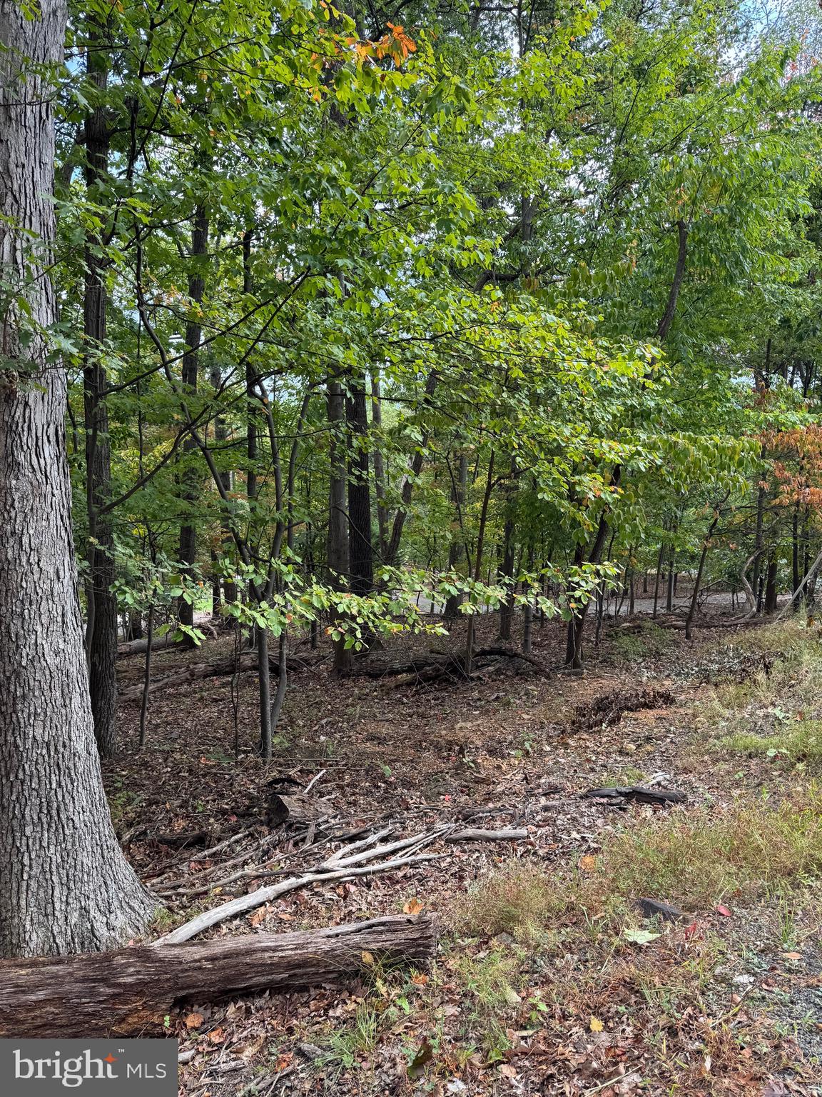 BULL RUN MOUNTAIN ESTATE - Land
