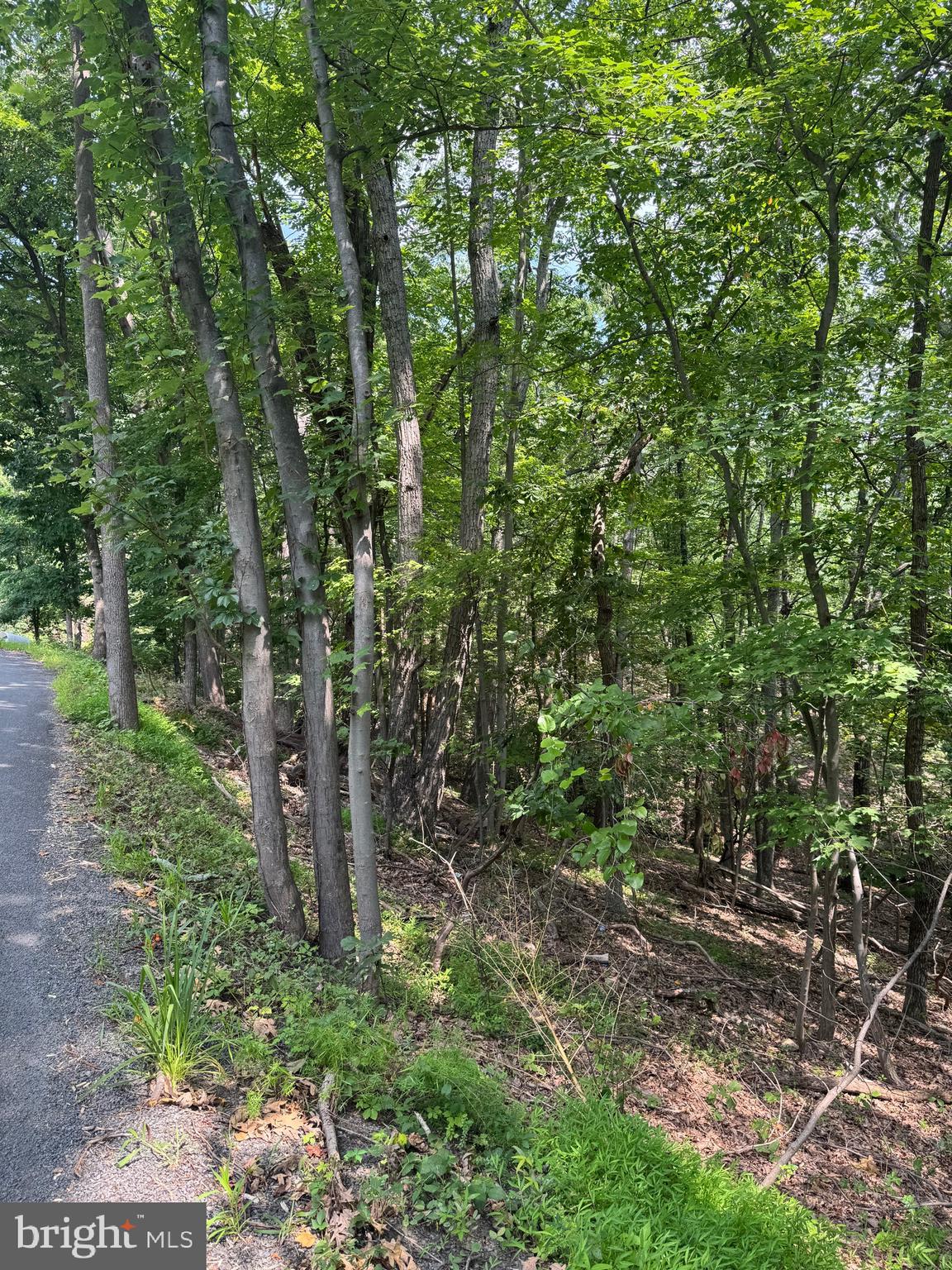 BULL RUN MOUNTAIN ESTATE - Land