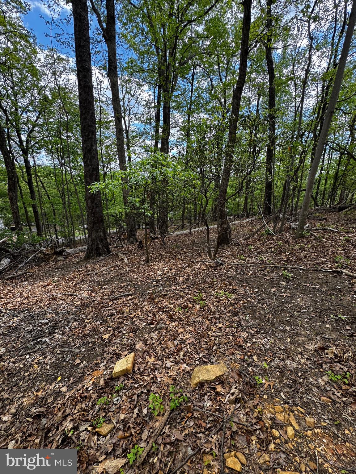 Great opportunity to secure a beautiful homesite in the highly sought-after Bull Run Mountain Estates community of Haymarket, VA. Nestled in a serene natural setting, this 3.47-acre wooded lot offers the perfect canvas to build your dream home, private mountain retreat, or even a tiny home! Surrounded by mature trees and showcasing seasonal mountain views, the property provides exceptional privacy and tranquility while remaining just minutes from shopping, dining, commuter routes, and everyday conveniences.
What makes this offering especially rare is that much of the preliminary work has already been completed. The seller has secured zoning approval and completed a grading plan and soil testing—significantly reducing the time, cost, and uncertainty often associated with purchasing raw land. With key steps already in place, you are one step closer to bringing your vision to life on this exceptional homesite.
Buyer to perform due diligence. Bring your builder and your vision—this is a rare opportunity to create something truly special in Bull Run Mountain Estates.