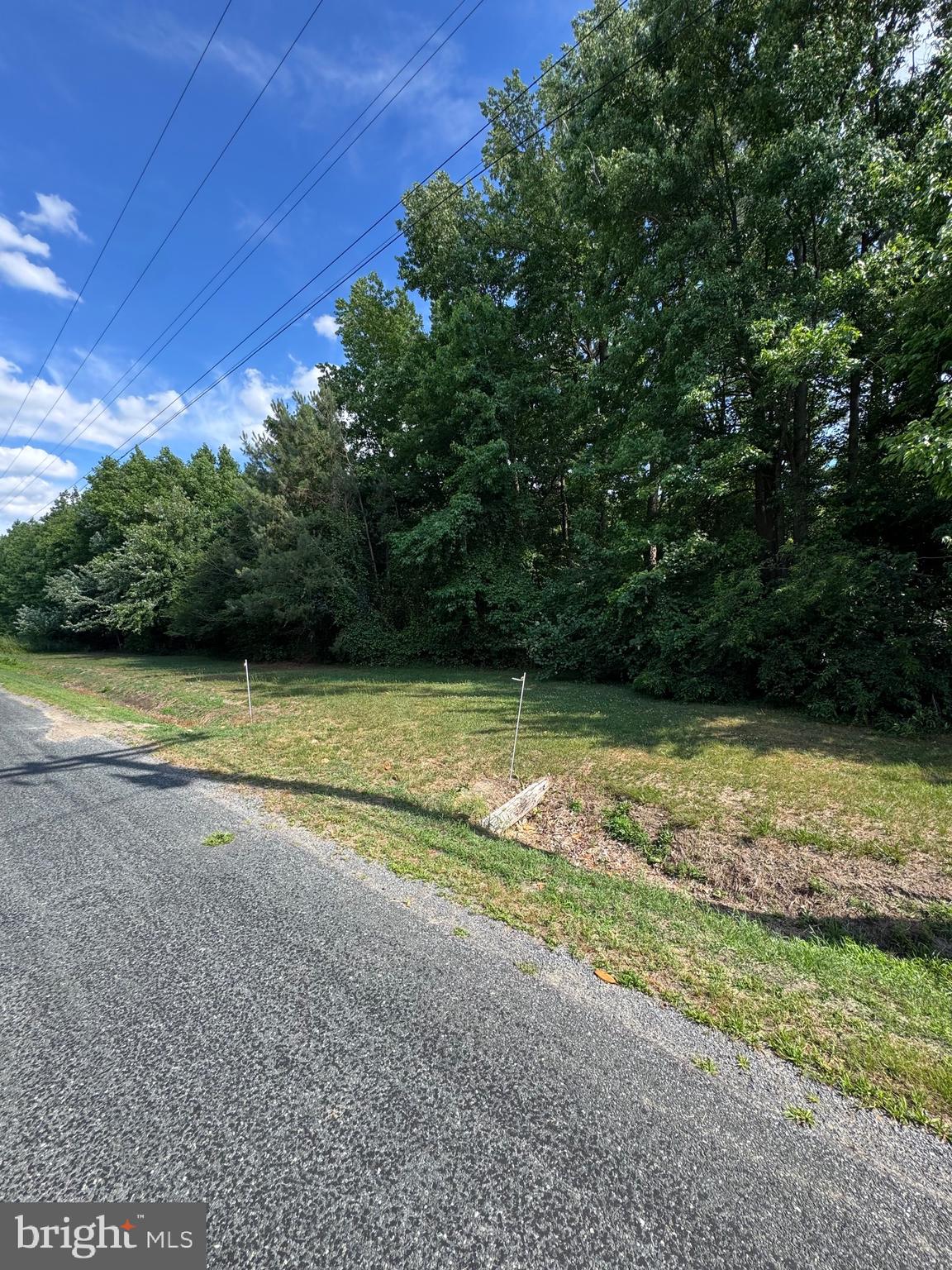 Discover a rare opportunity to own your own piece of Maryland's legendary Eastern Shore. Tucked away near historic Vienna and the Nanticoke River, this exceptional property offers the perfect combination of privacy, wildlife habitat, and recreational enjoyment.

Whether you're pursuing trophy whitetails, elusive sika deer, spring gobblers, or simply seeking a peaceful retreat, this property delivers the kind of hunting experience that has made Dorchester County one of the Mid-Atlantic's premier destinations. Great timber potential, natural travel corridors, abundant food sources, and surrounding agricultural fields create ideal conditions for holding and attracting wildlife.

Enjoy endless possibilities with established trails, excellent access, some room to create food plots, put up hunting blinds, or just make it the ultimate hunt camp. Beyond hunting season, the property offers opportunities for ATV riding, camping, and possible residential use be enjoyed for generations.

Located just a short drive from Salisbury, Cambridge, and Ocean City, this is more than just land—it's an investment in the outdoors, a private escape, and a sportsman's dream in the heart of Maryland's Eastern Shore.

Properties of this caliber have become increasingly more rare. Come experience the beauty, solitude, and unmatched hunting opportunities that Vienna has to offer. Schedule your private tour today!