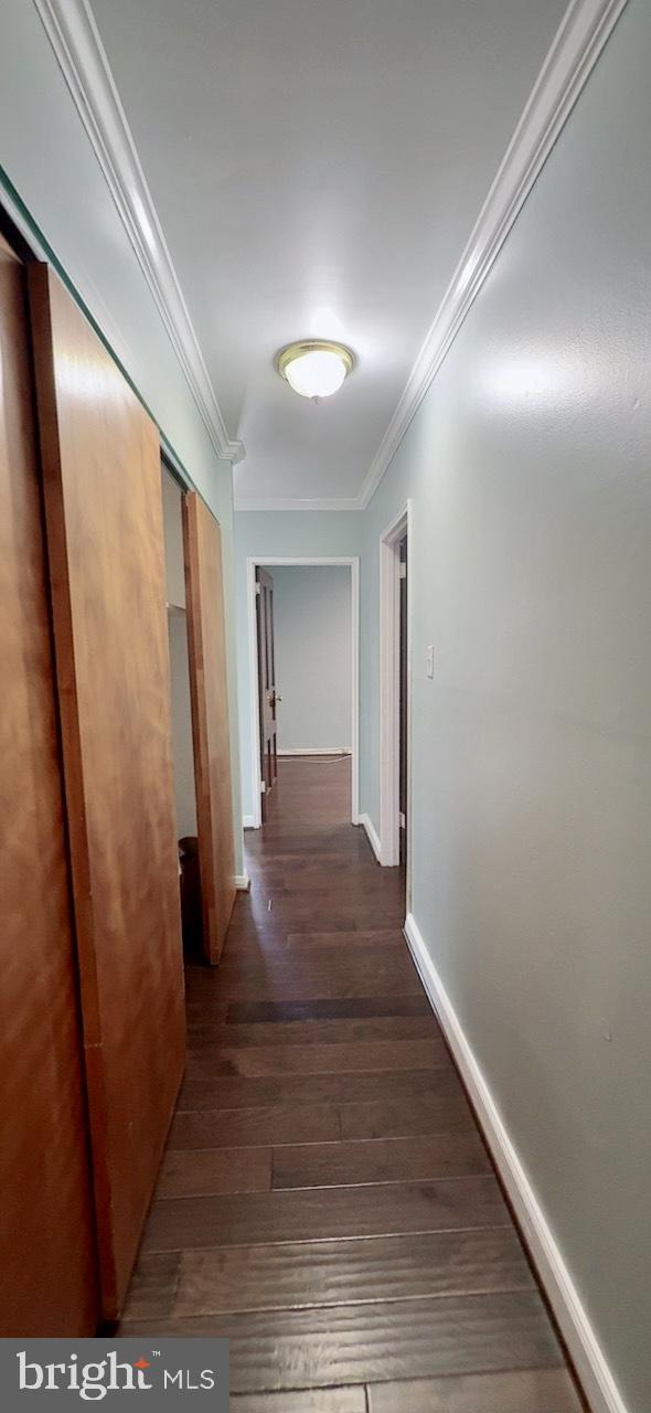 PALMER PARK - Residential Lease