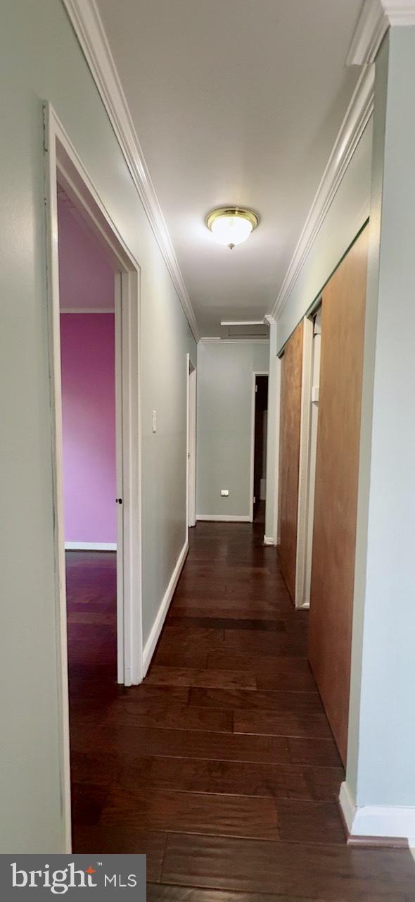 PALMER PARK - Residential Lease