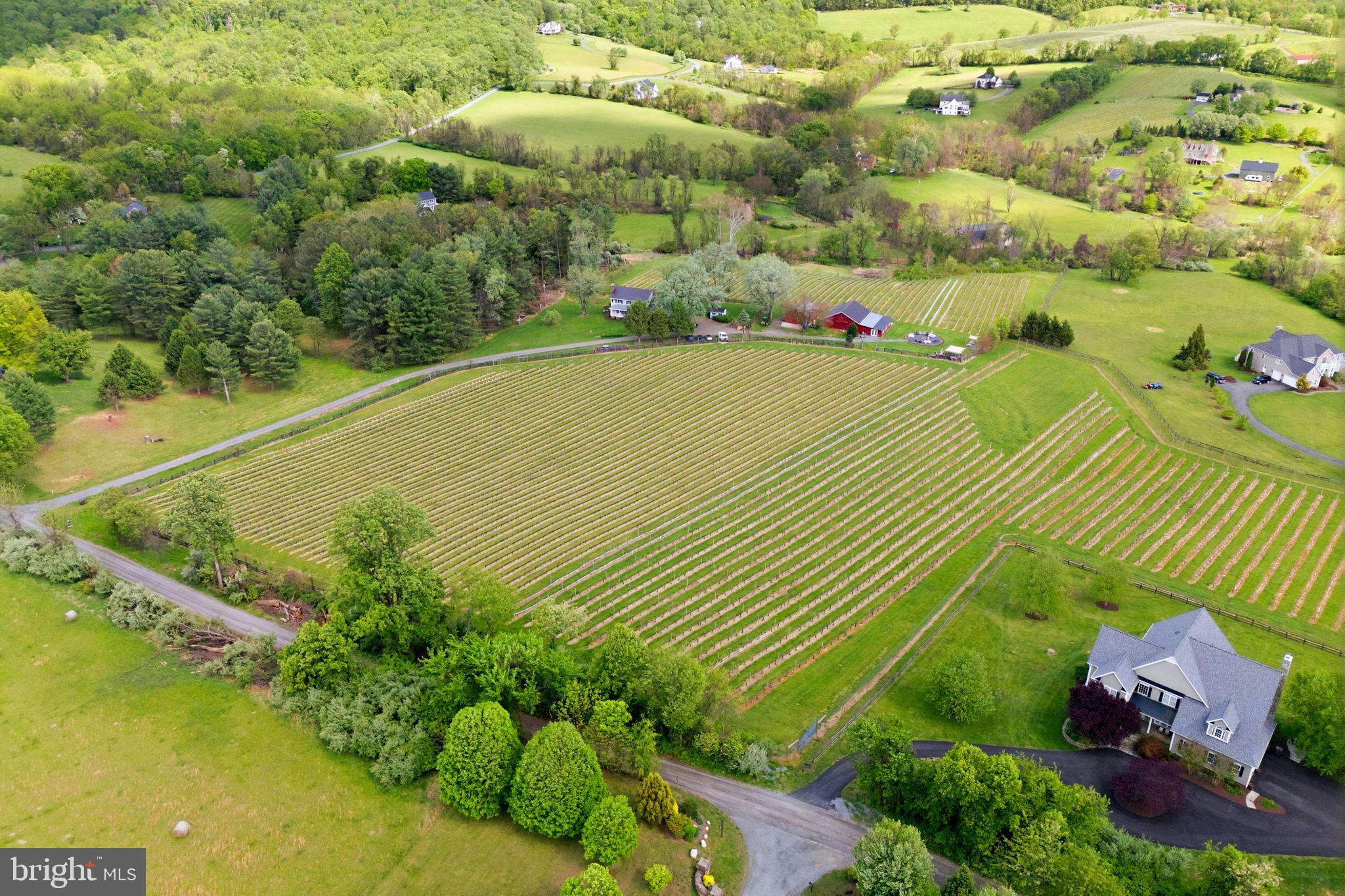 WATERFORD - Farm