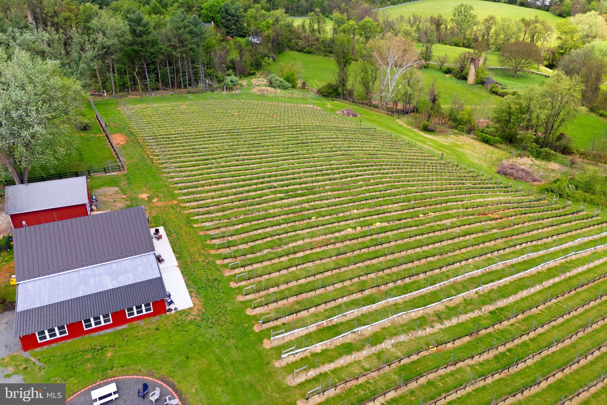 WATERFORD - Farm