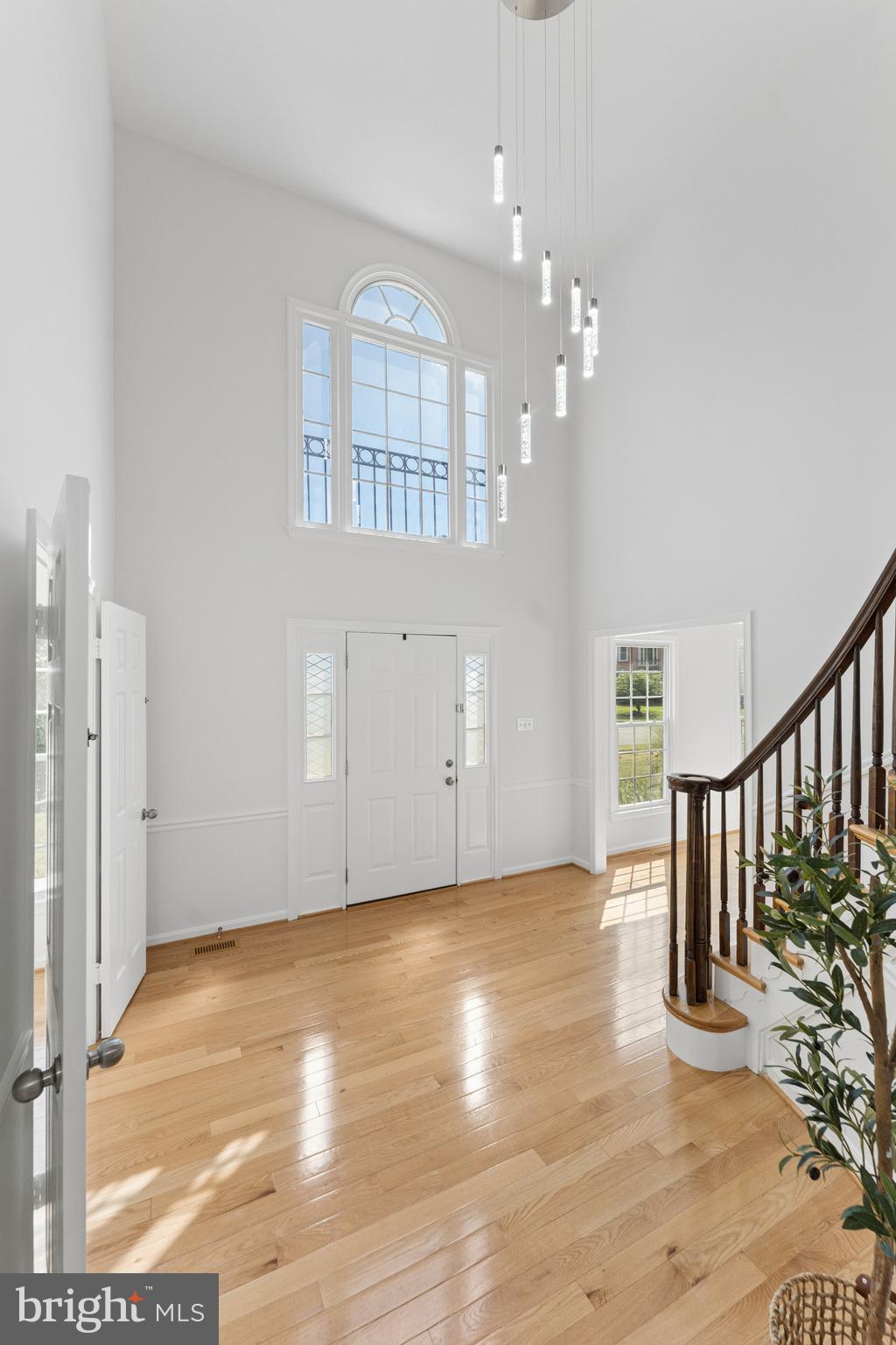 POPLAR TREE - Residential