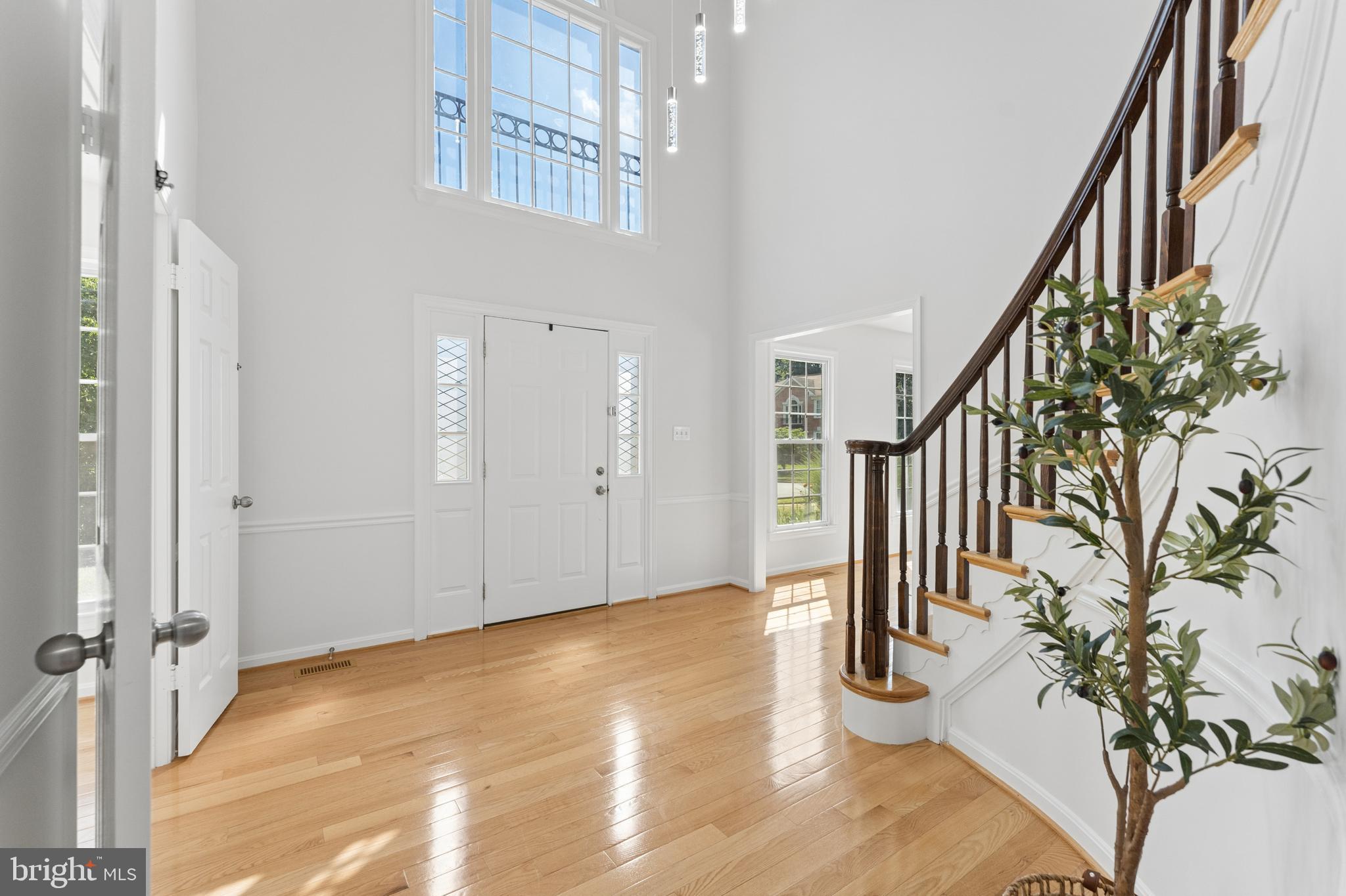 POPLAR TREE - Residential