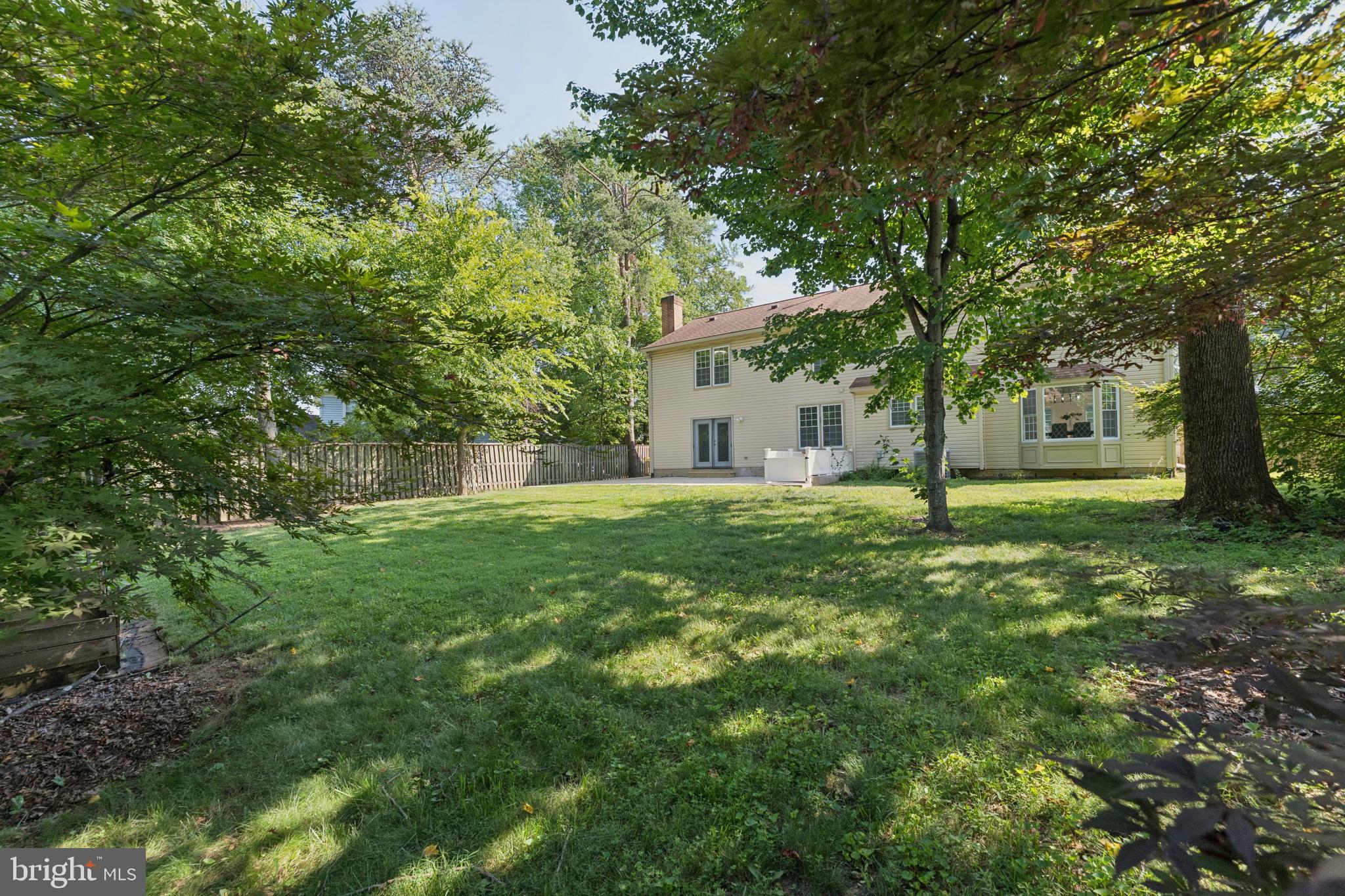 POPLAR TREE - Residential