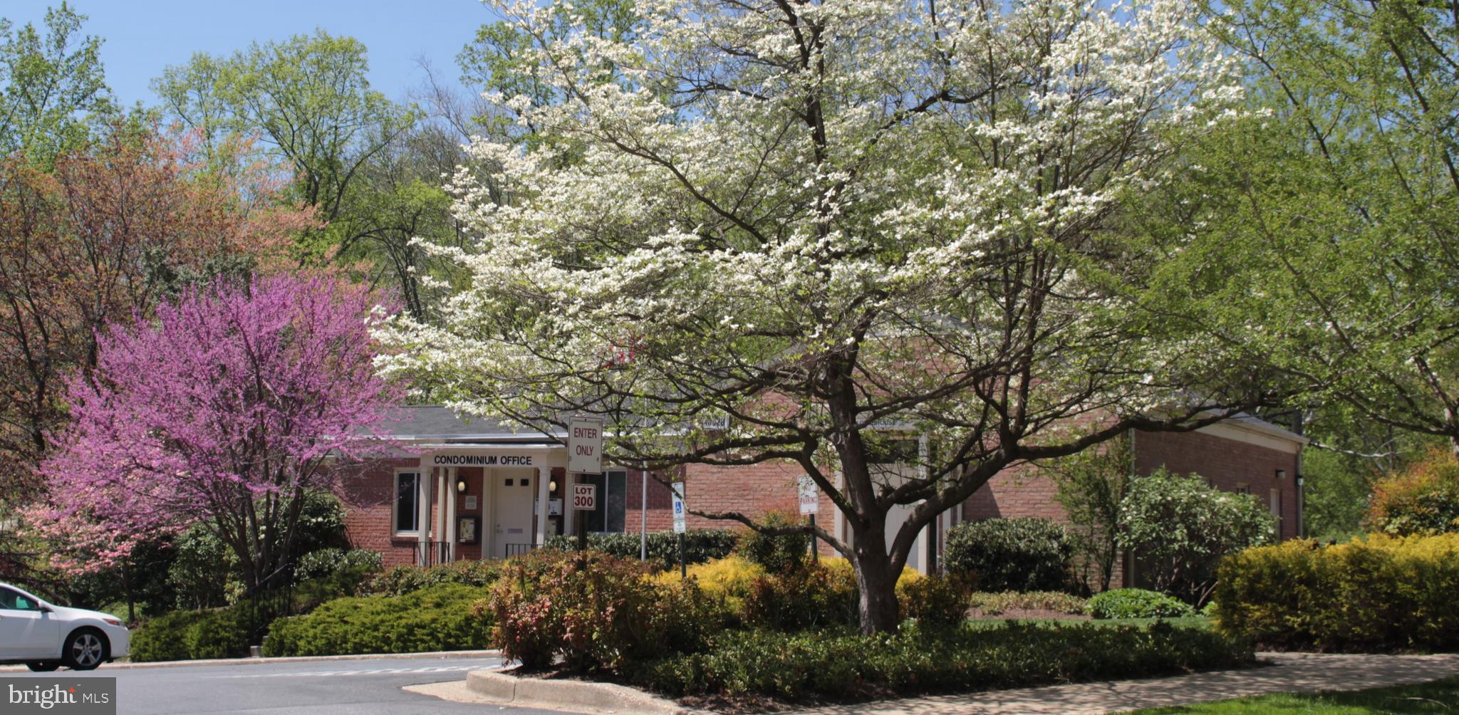 PARKSIDE CONDOMINIUMS - Residential