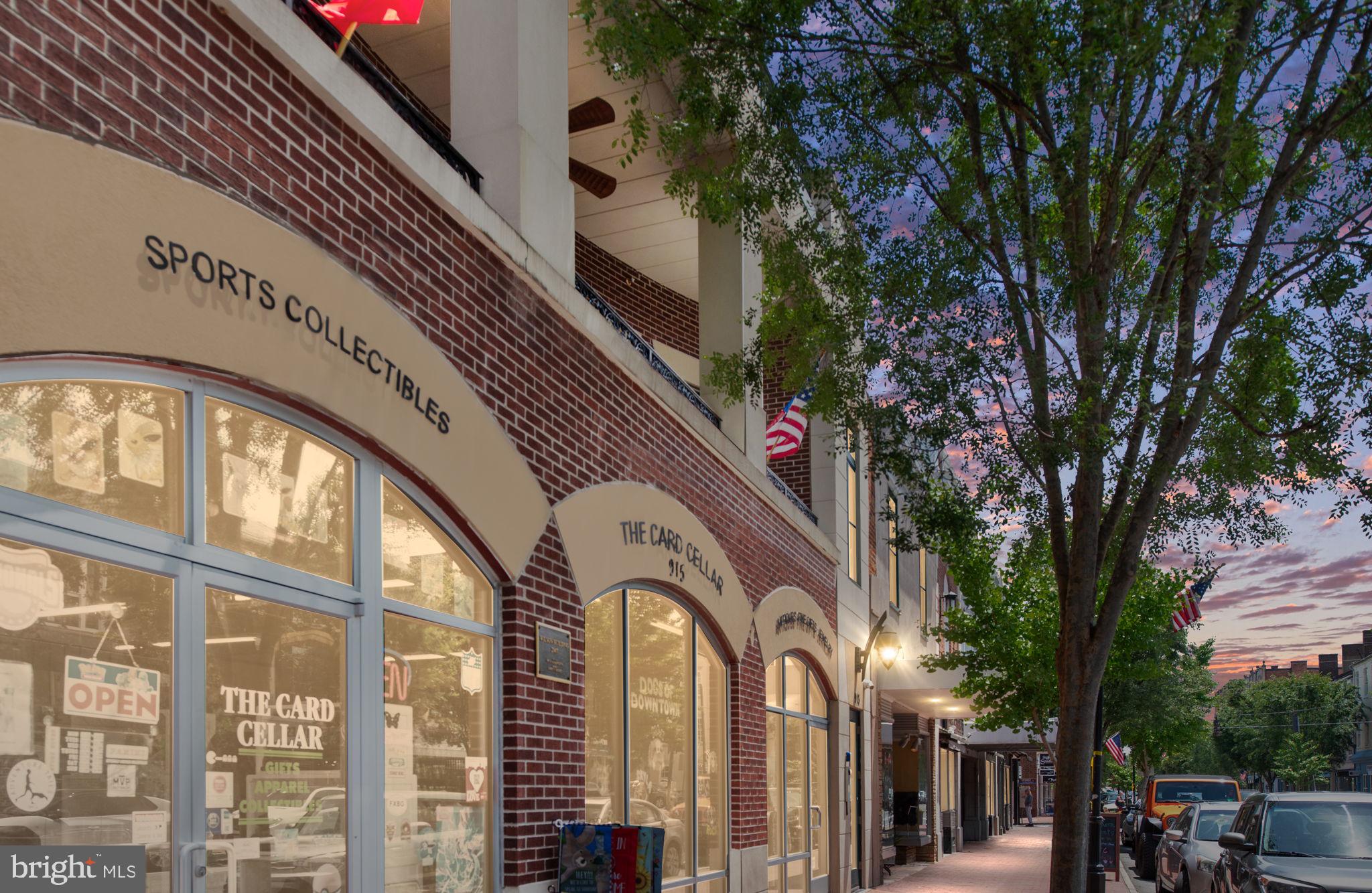 DOWNTOWN FREDERICKSBURG - Residential