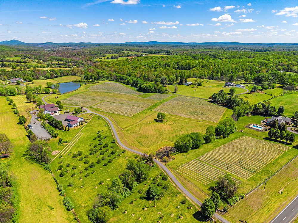 NONE AVAILABLE - Farm