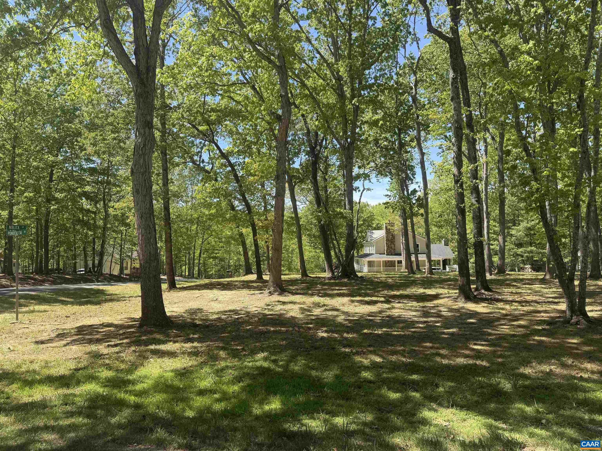 S0 MUCH TO OFFER! One of the most picturesque level corner lots at Lake Monticello.  A well-kept vacant lot in excellent condition, offering a peaceful, park-like setting - an ideal opportunity for building or investment. Easy Walk, only 3 blocks from the Club House, PGA tournament Golf Course. "Only a few trees would need to be removed-most of the clearing has already been completed." Perfect for a one level home.