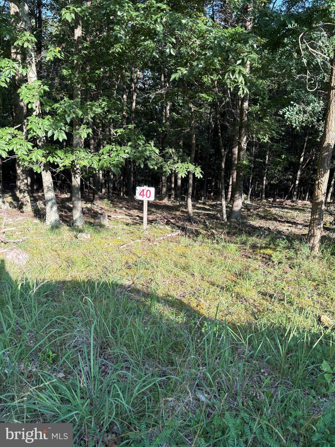 ORCHARD VIEW ESTATES - Land