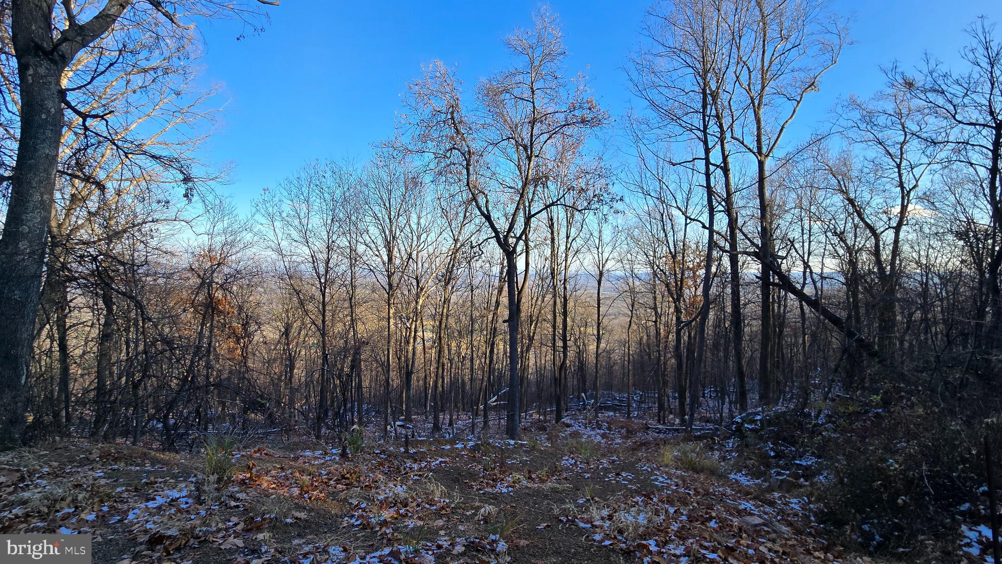 Looking for a mountain view homesite with room to breathe? This 5.15-acre Lot 5 in Spruce Pine Hollow sits high on the ridge above Sleepy Creek with a mix of sloped terrain and usable benches. Open the vista with selective clearing and your view can run for miles. Hunt, hike, or build your full-time home or getaway. A driveway entrance has been started near the neighbor’s drive. About 1.4 miles of community dirt/gravel road—SUV/4WD recommended.