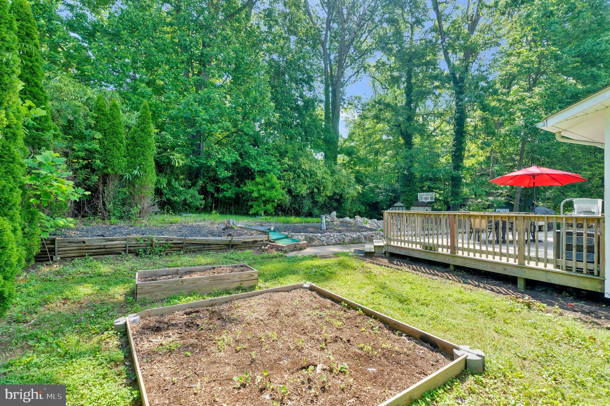FAIRFAX VILLA - Residential