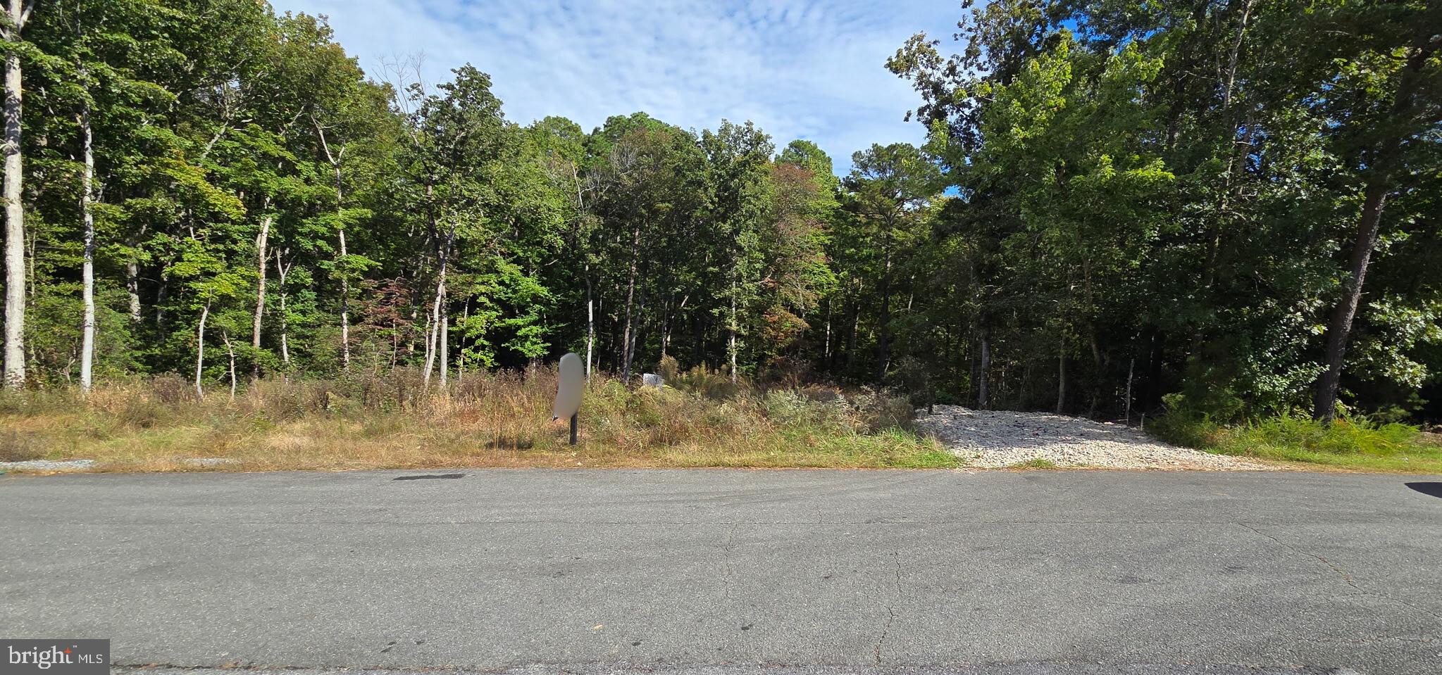 Peaceful Coastal Lot Near the Beach — Just Under One Acre!

Discover the perfect blend of privacy and convenience with this beautiful vacant lot, nestled in a quiet, partially cleared setting just under one acre. Located less than a mile from the waterfront and Elm’s Beach Park, and just seven minutes from the Patuxent River Naval Base, this property offers endless possibilities.

Whether you’re looking to build your family’s dream home, create a peaceful retirement retreat, or establish a second home for weekend getaways, this location has it all. Enjoy the serenity of a secluded neighborhood while being just 15 minutes from shopping, dining, and local amenities.

Experience coastal living at its best — close to the beach, away from the noise, and surrounded by natural beauty.