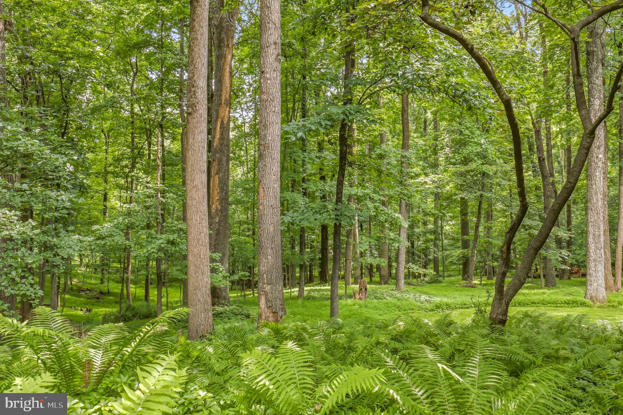 MEADOWOOD - Residential