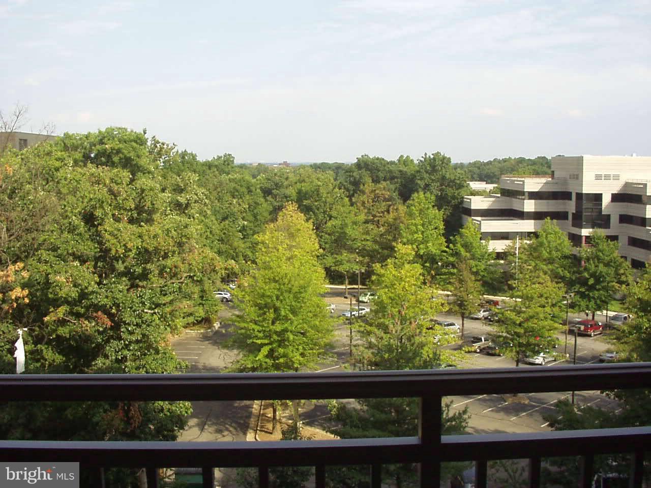 MERCER - Residential Lease