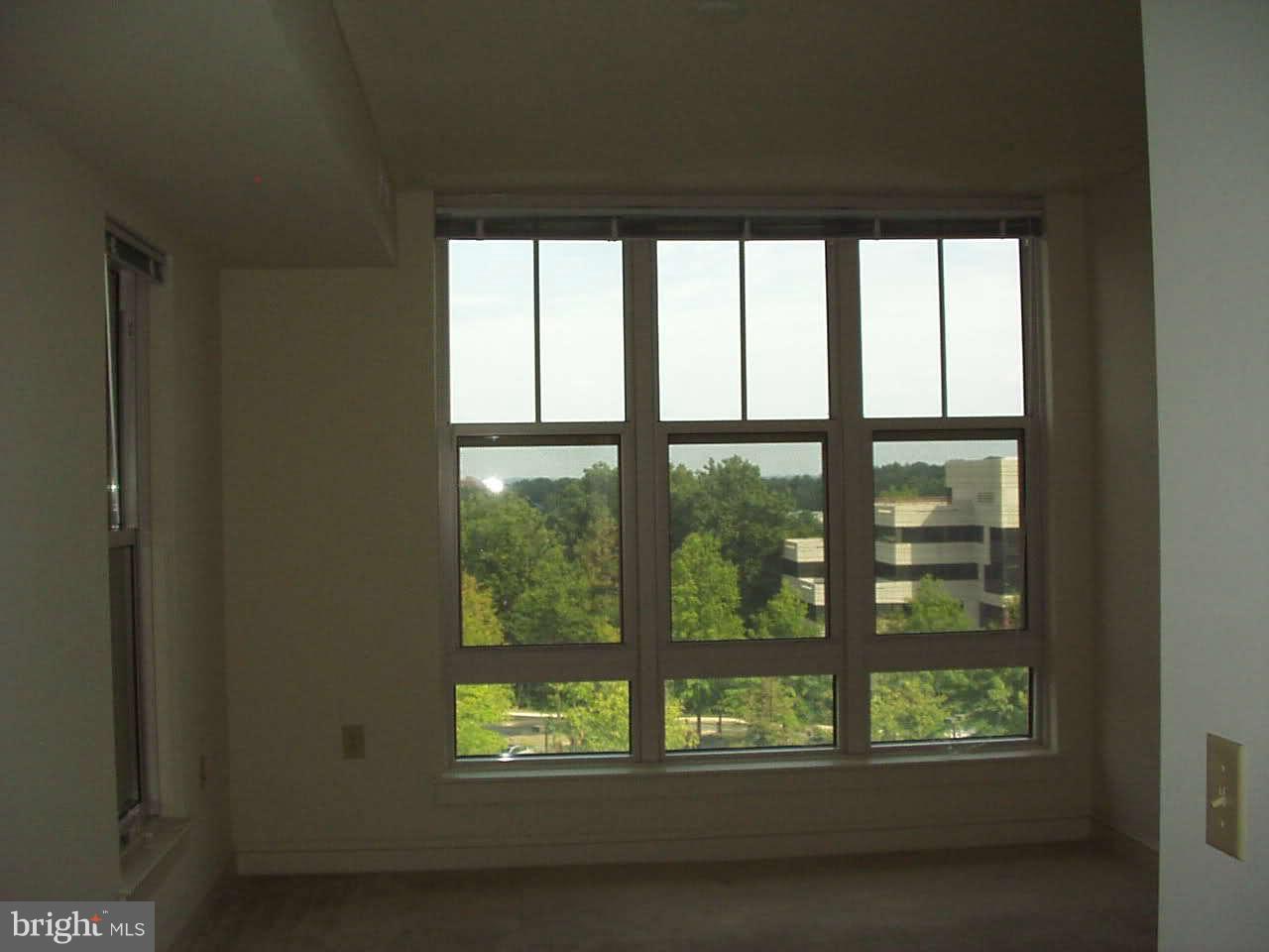 MERCER - Residential Lease