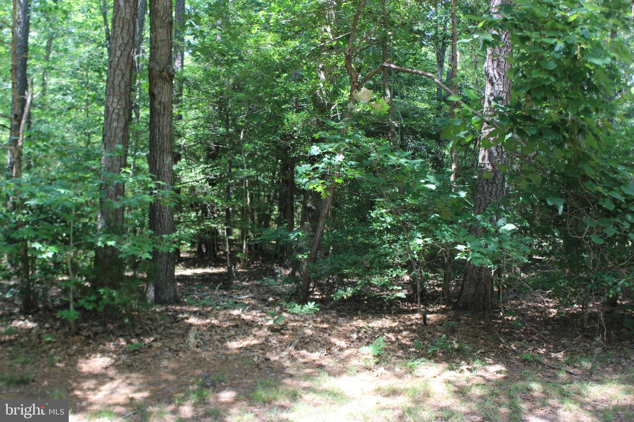 CAPTAIN'S COVE - Land