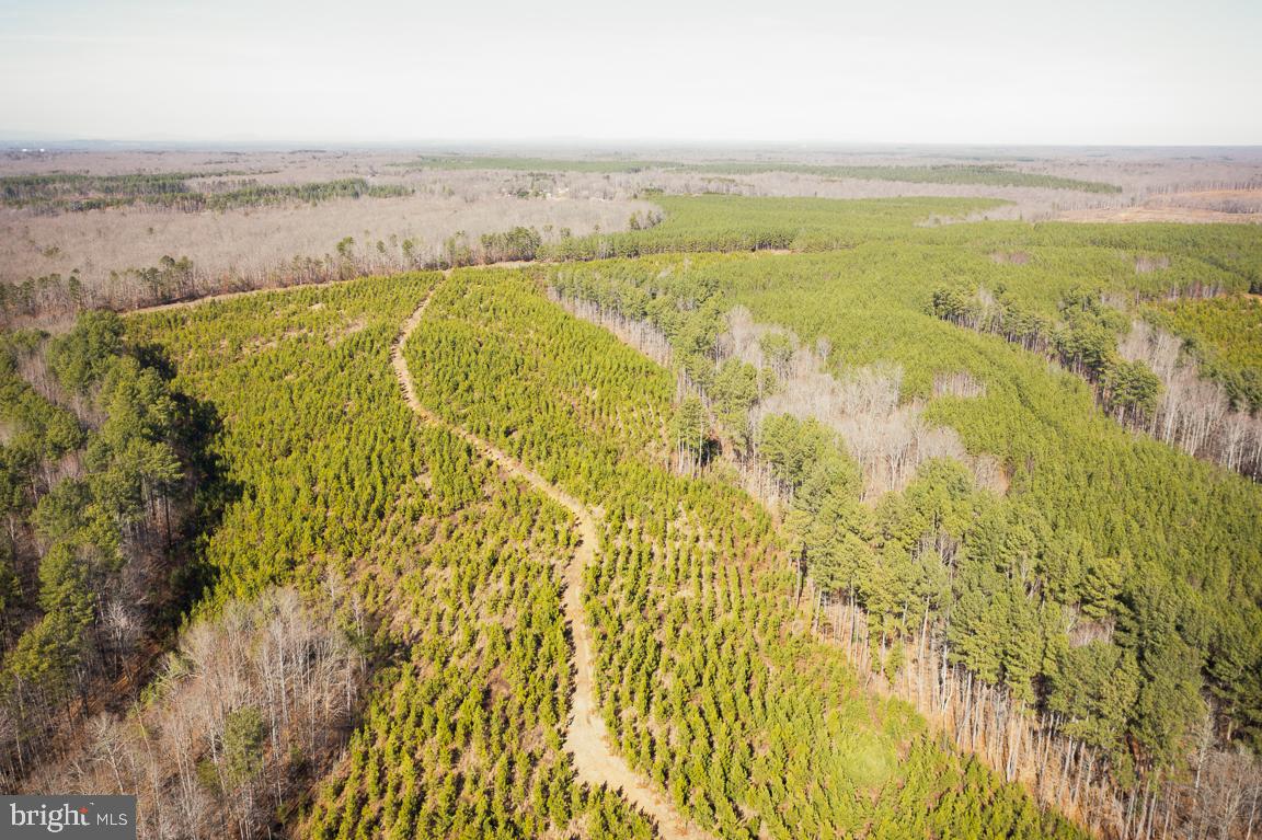 SHEPPERDS GROVE - Land