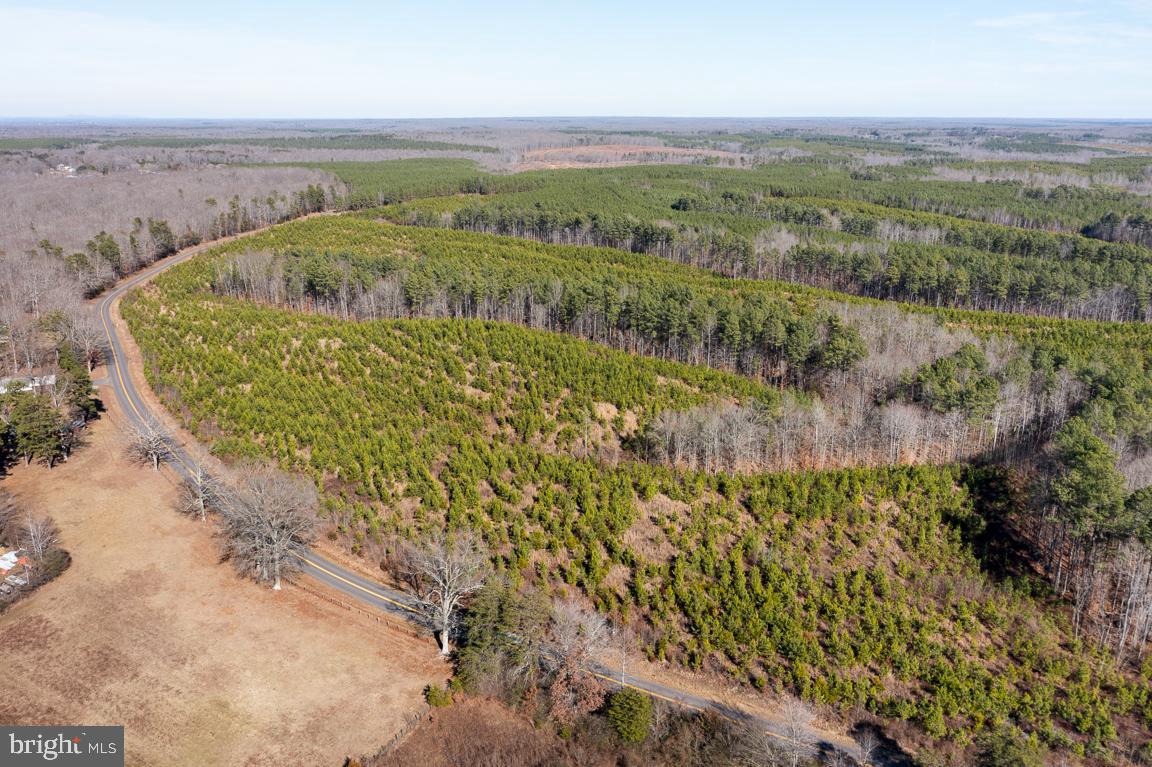A great opportunity to own a large wooded piece of land. It's wooded so you can pick your perfect location for a private home or family compound. Lots of trails throughout the property with endless possibilities for atv or horseback riding. Tons of wildlife and a few streams on the property. The property is located on the far eastern border of Culpeper county just a few minutes to Orange Co and a straight shot down Rt 3 to Fredericksburg. The property has 3BR conventional perc and has recently been surveyed.