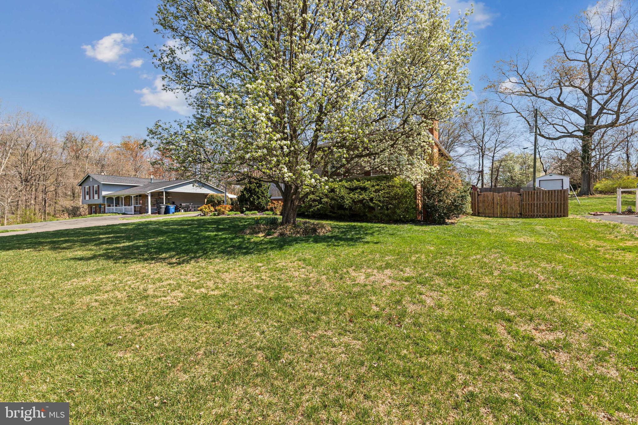 BRADLEY FOREST - Residential