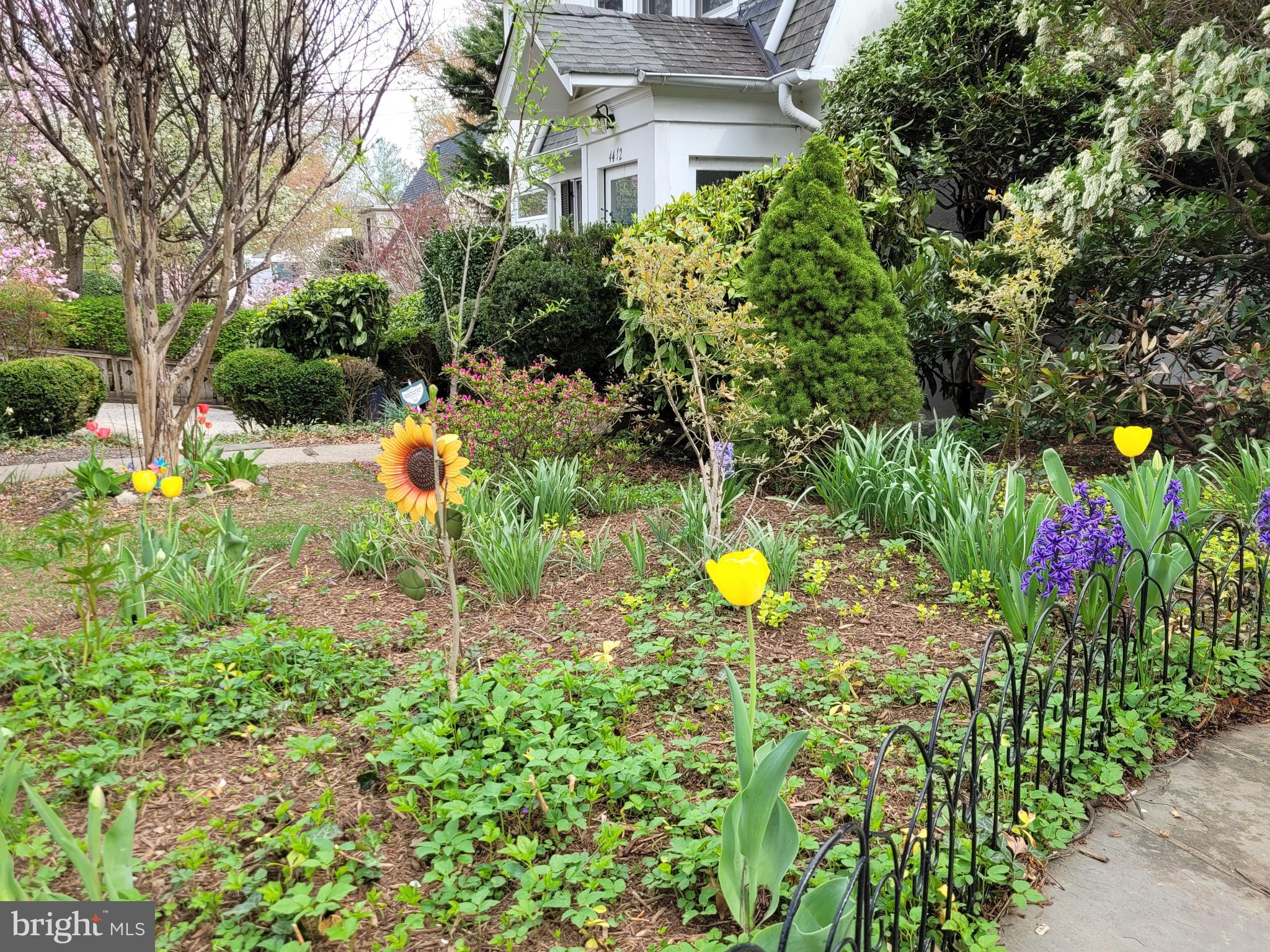 WESLEY HEIGHTS - Residential