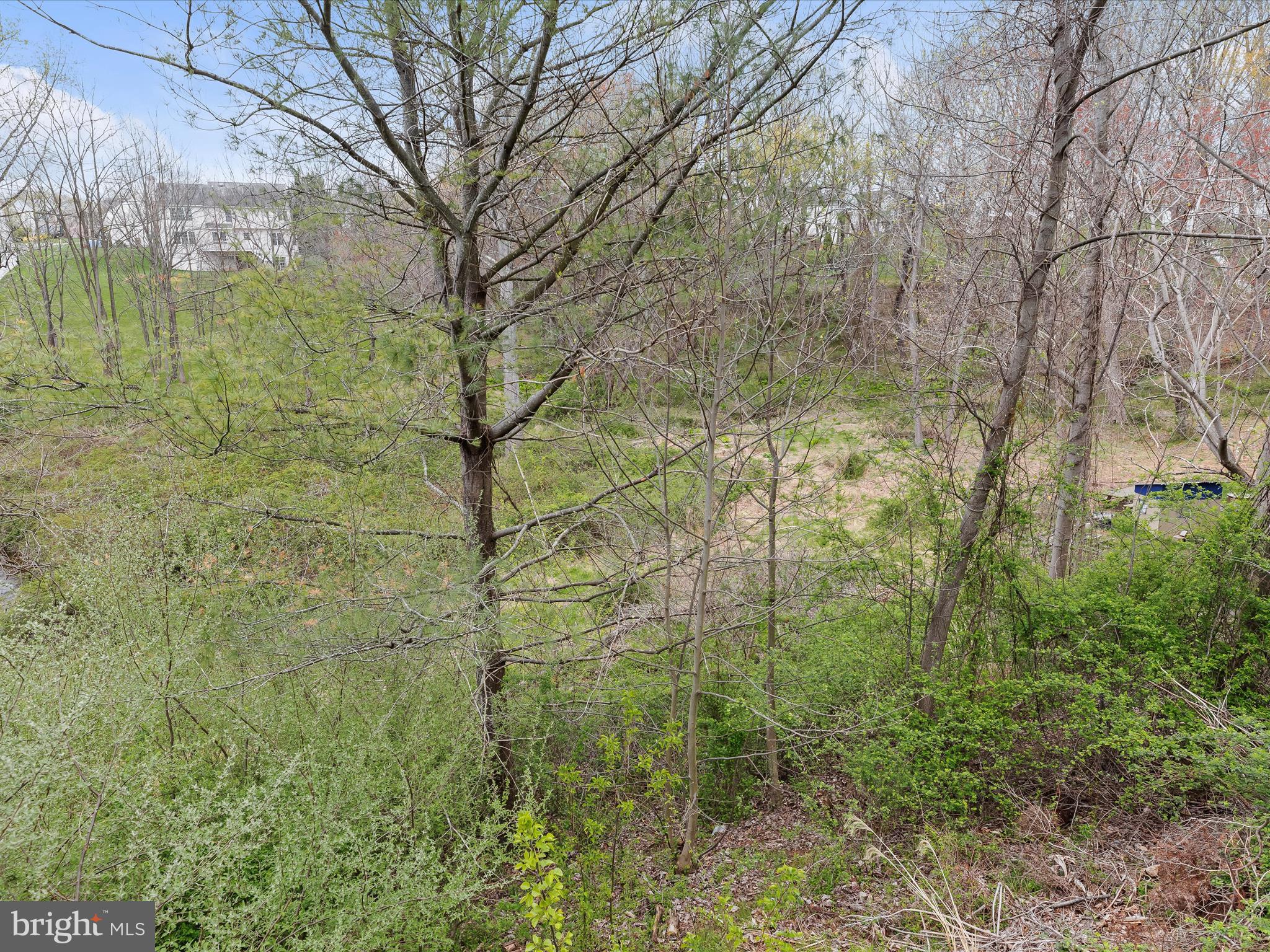 FOREST LAKES - Residential