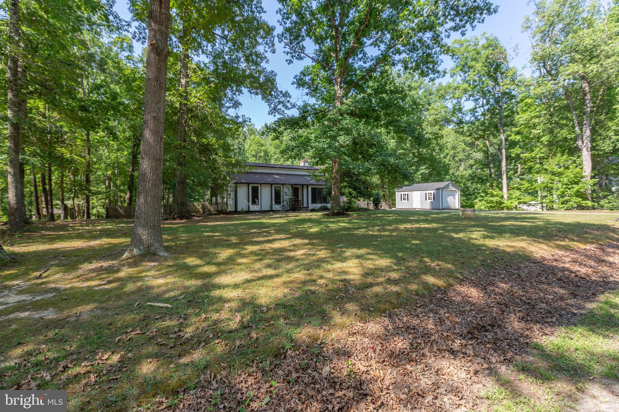 SHADE TREE - Residential