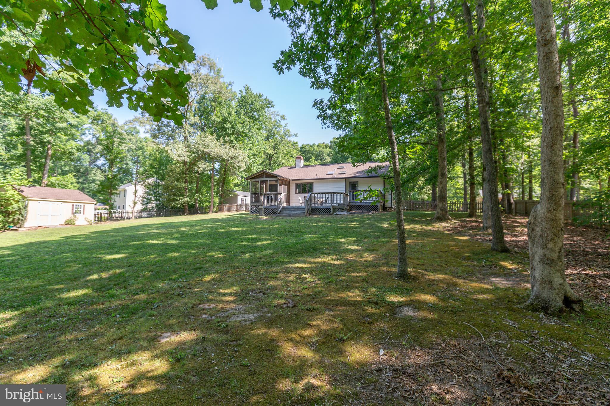 SHADE TREE - Residential