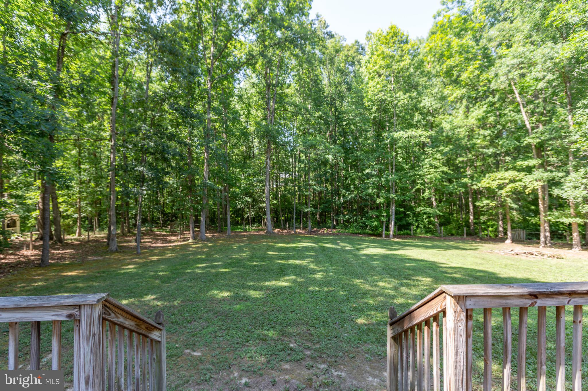 SHADE TREE - Residential