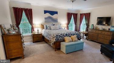 WOODS AT RIDGEVIEW - Residential