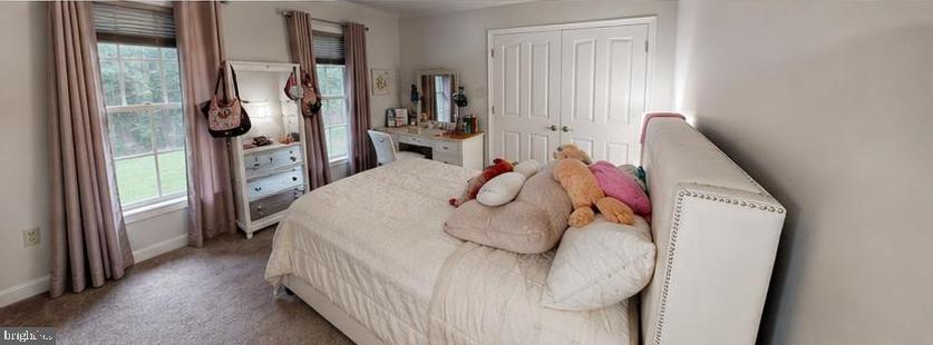 WOODS AT RIDGEVIEW - Residential