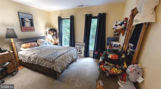 WOODS AT RIDGEVIEW - Residential