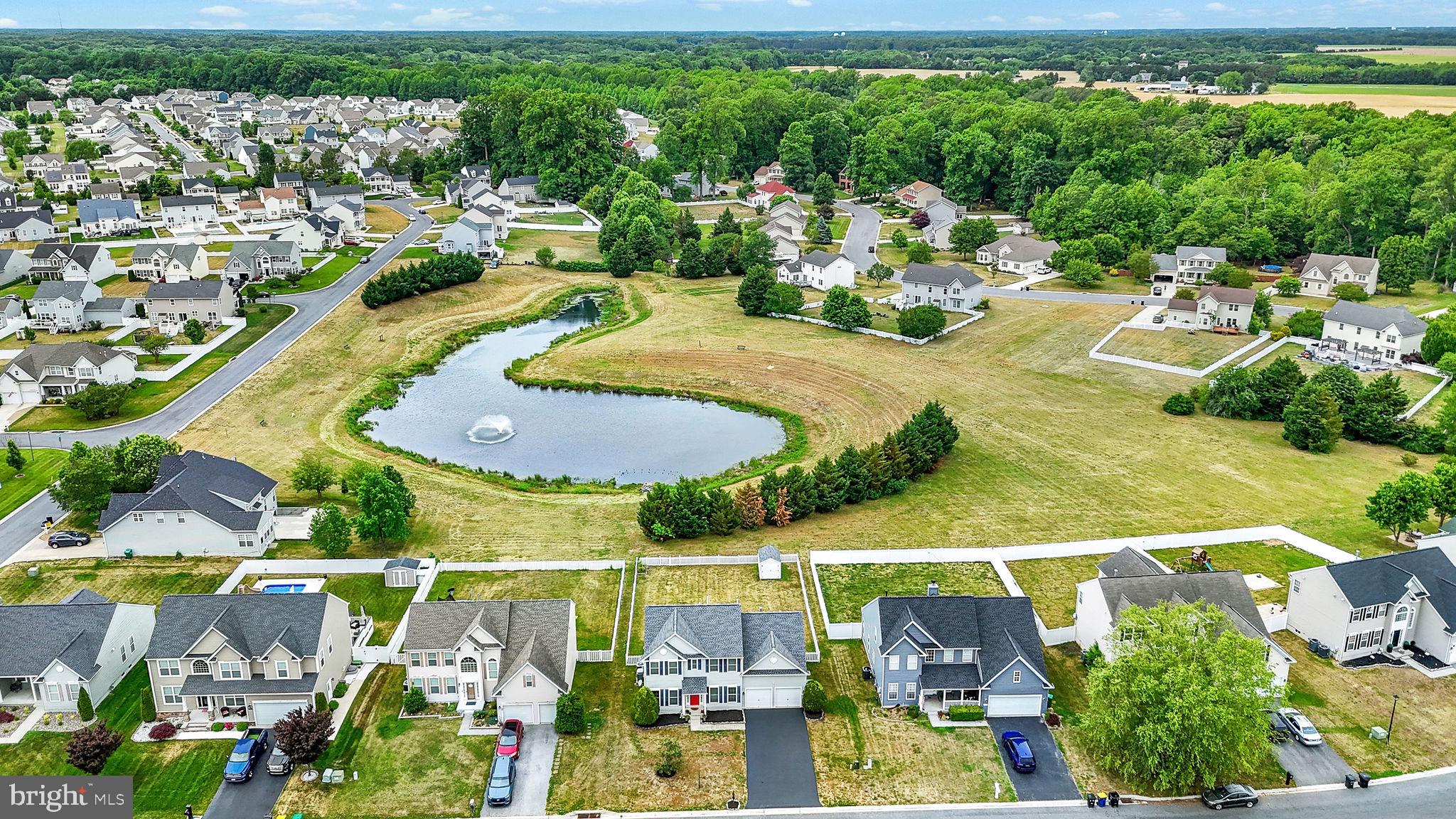 CHESTNUT RIDGE - Residential