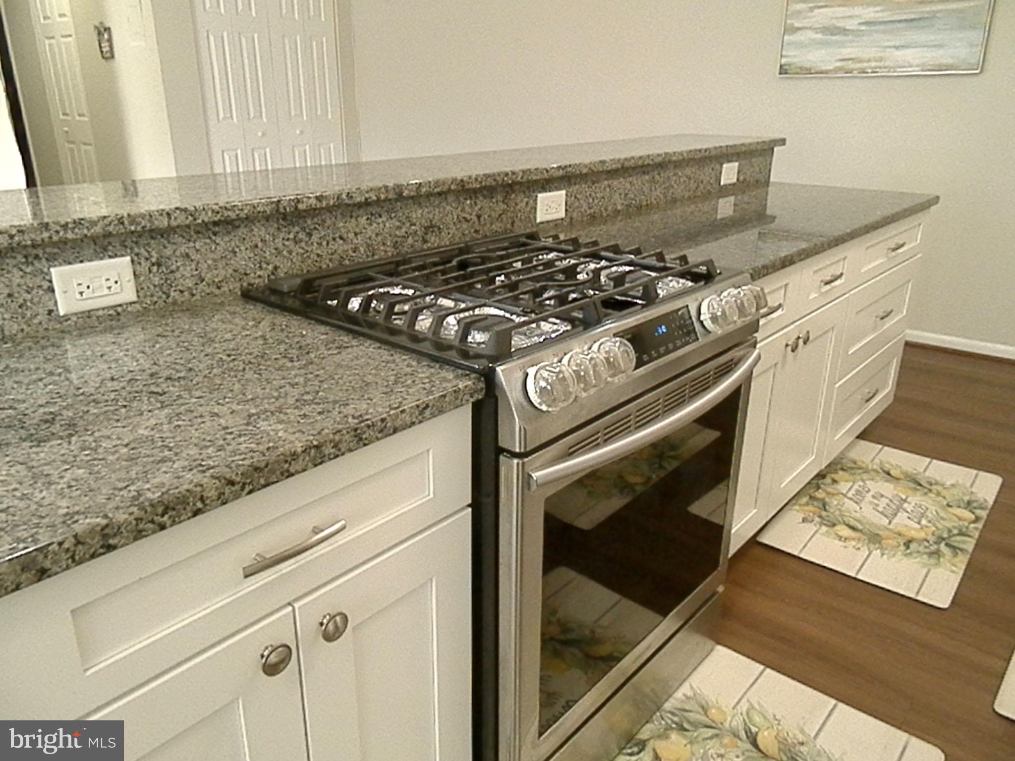 SPRINGFIELD GREEN - Residential Lease