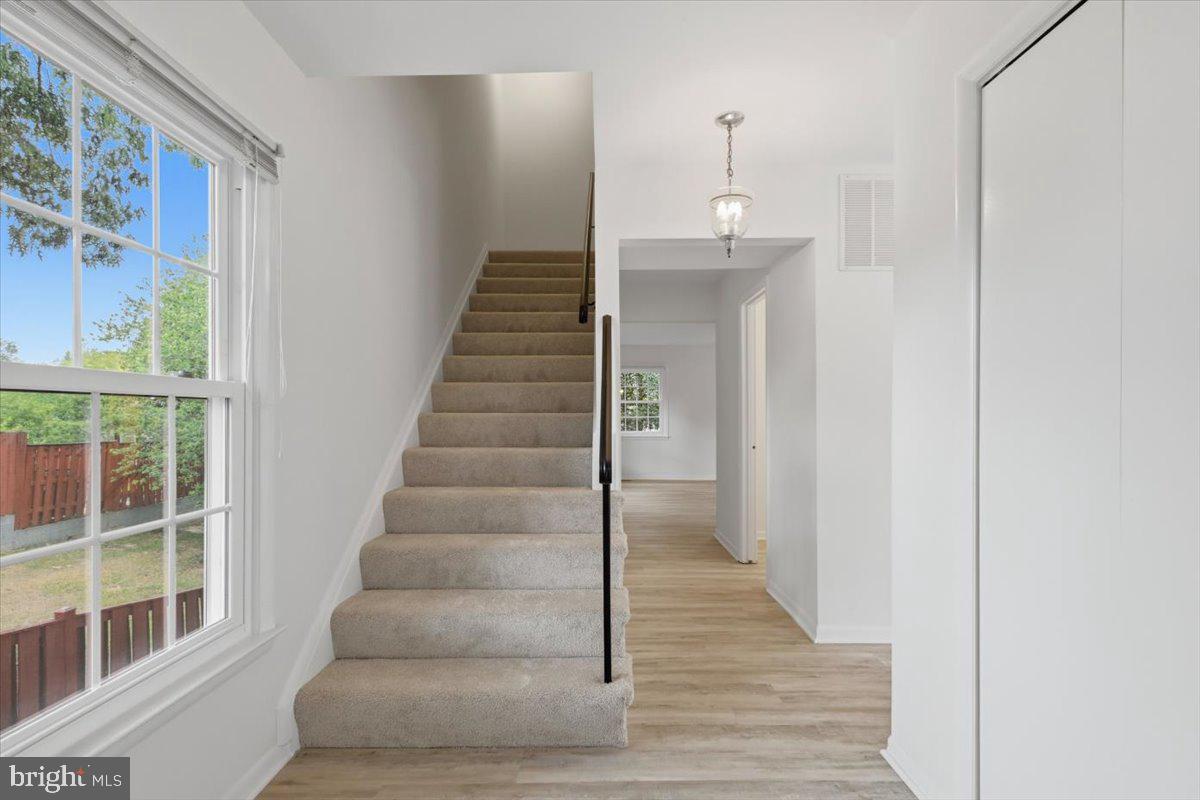 WINDSOR PARK - Residential