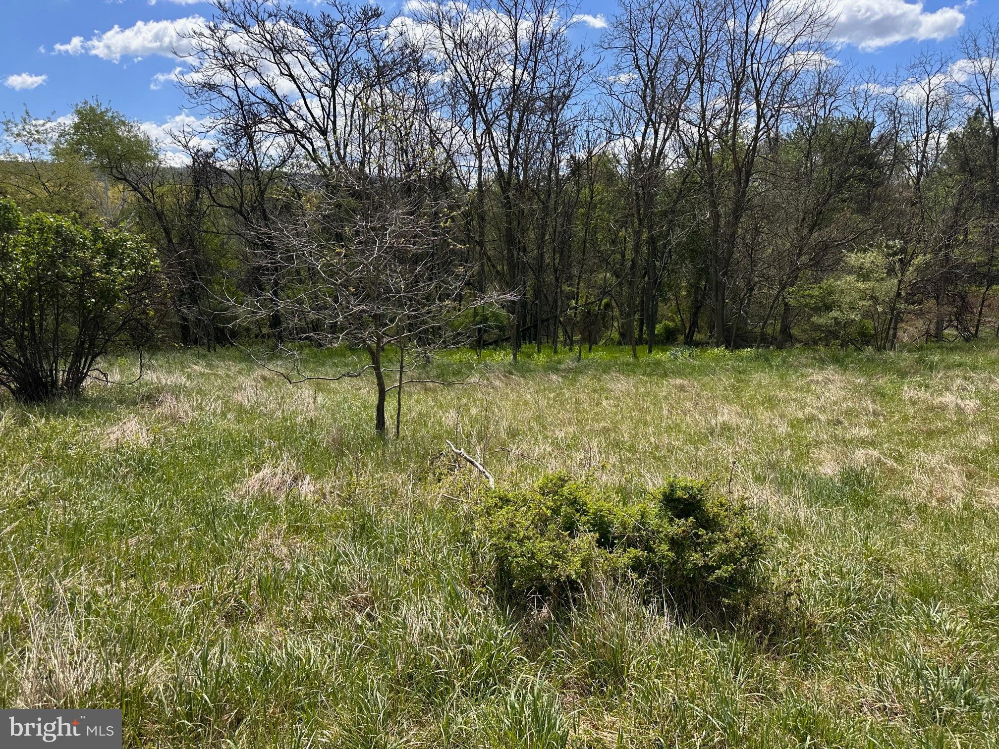 Very nice buildable lot, 22.52 Ac, no restrictions found. Paved roads to the property. Nicely wooded in the back and partially cleared up front.