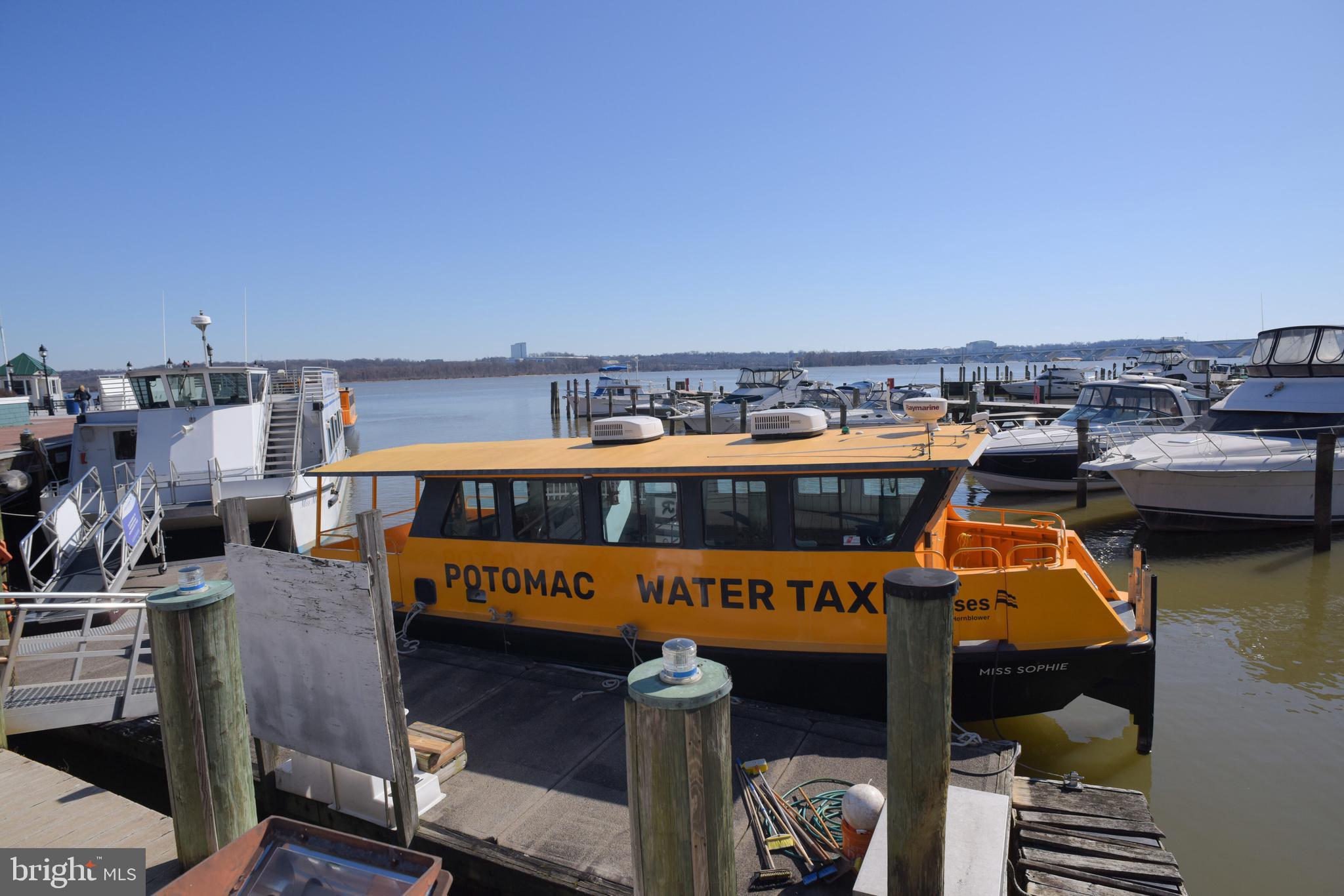 OLD TOWN ALEXANDRIA - Residential