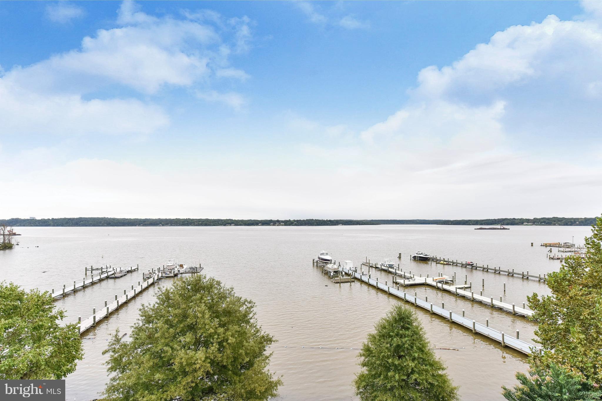 ARCTURUS ON THE POTOMAC - Residential