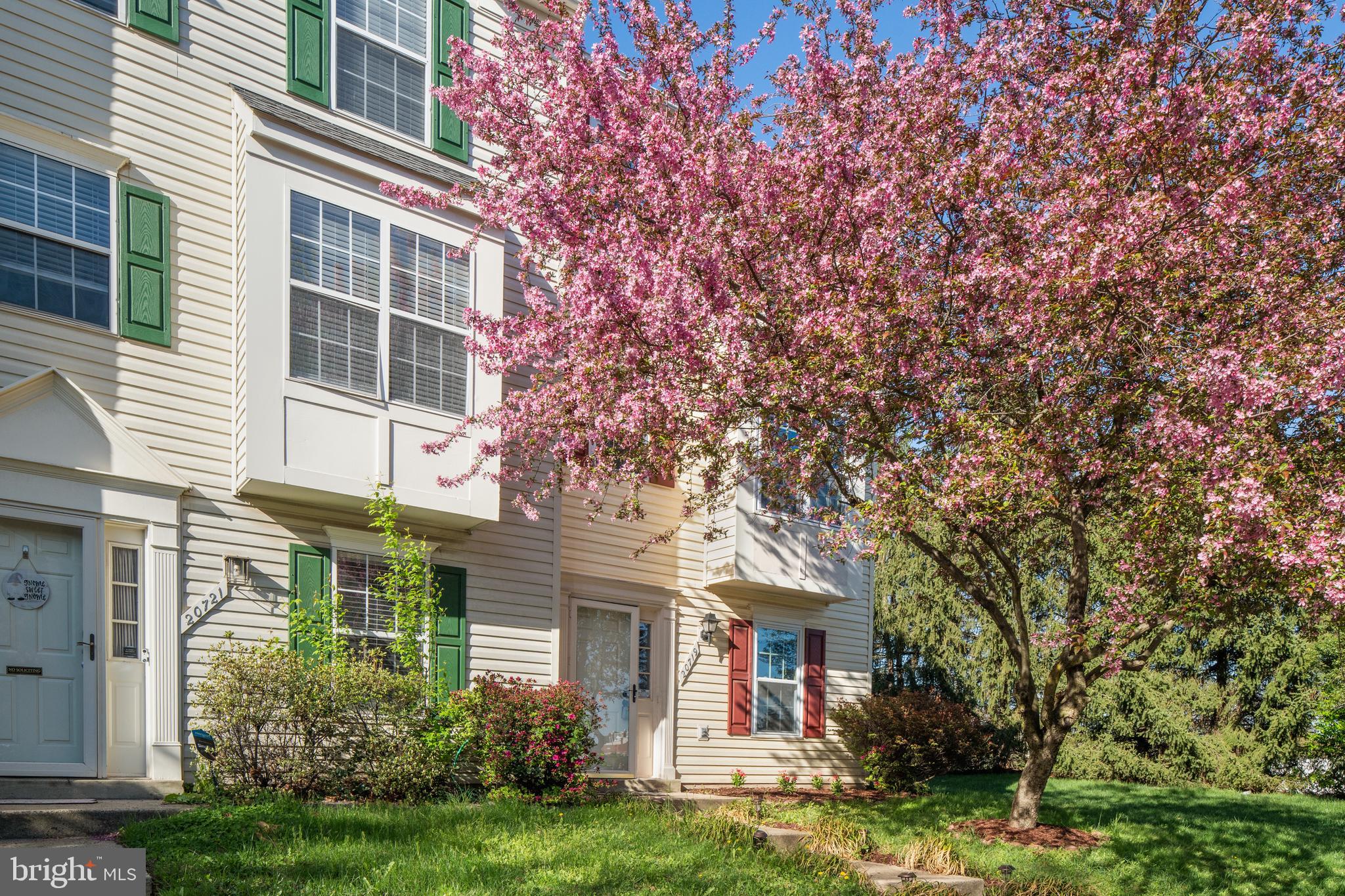ASHBURN VILLAGE - Residential