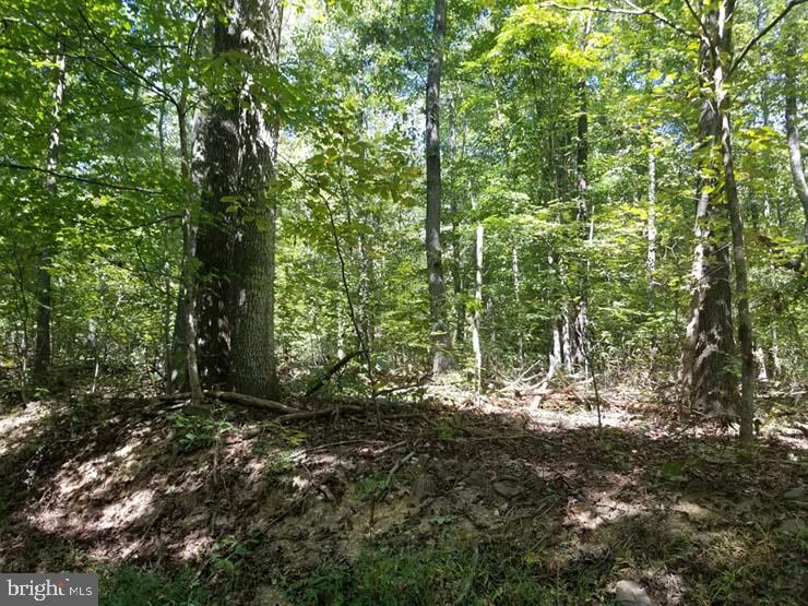 Rural recreational wood lot - Juniata Co secluded parcel for ATVs, hunting, hiking and more! 38.895 acres with survey on file. No current well or septic.,Farm Fuel: None