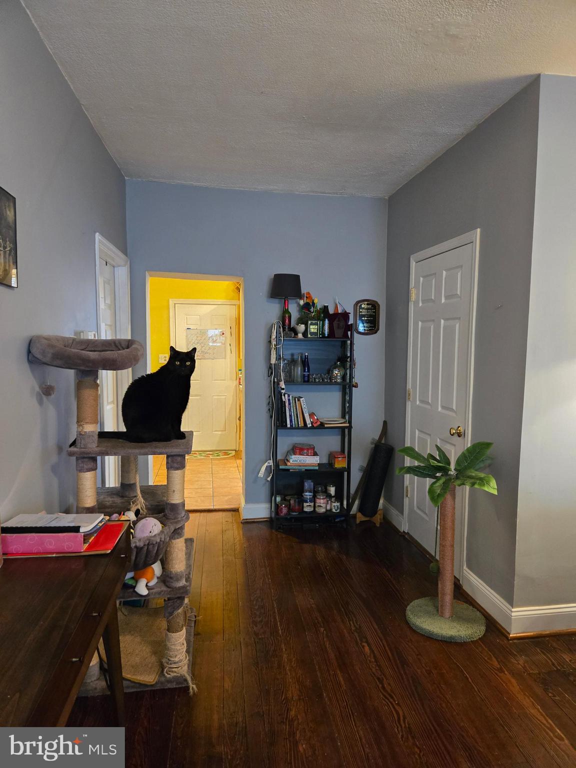 MANAYUNK - Residential Lease
