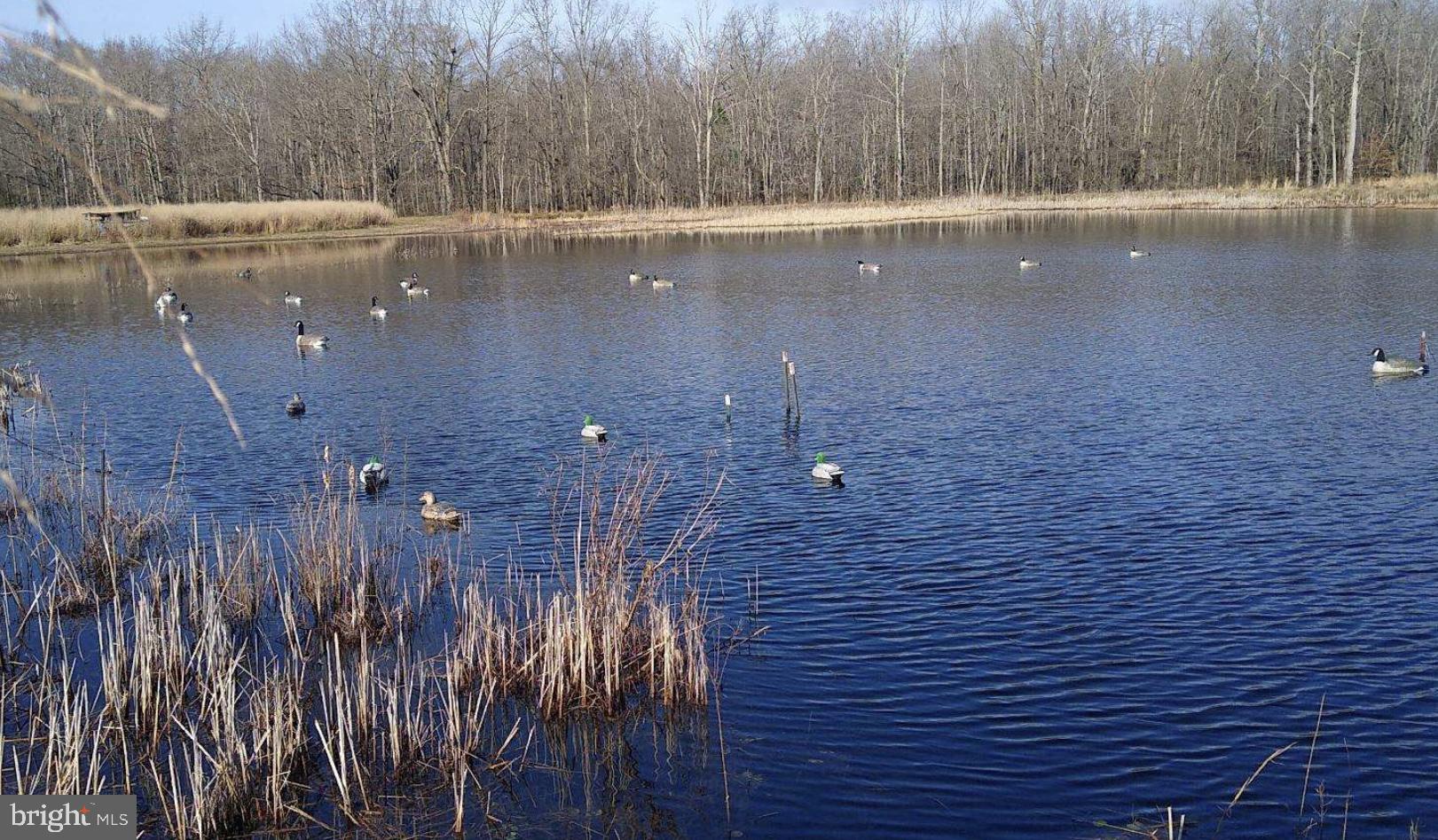 A Very Special Property, Hunting Fishing, Horses, 26 ac grain farm with acres of ponds and impoundments with deep woods.  Hidden away at the end of a small country lane always a special lifestyle for the outdoor lover.  Enjoy natures ever changing natural wonders.  Deer, turkey, ducks, wood ducks and bass.  All the while as the snow geese just fly over as the desire large open fields, we have  narrow fields, the ponds and impoundments with hedge rows and hunting sites spread throughout. Do not enter property without appointment and listing agent.