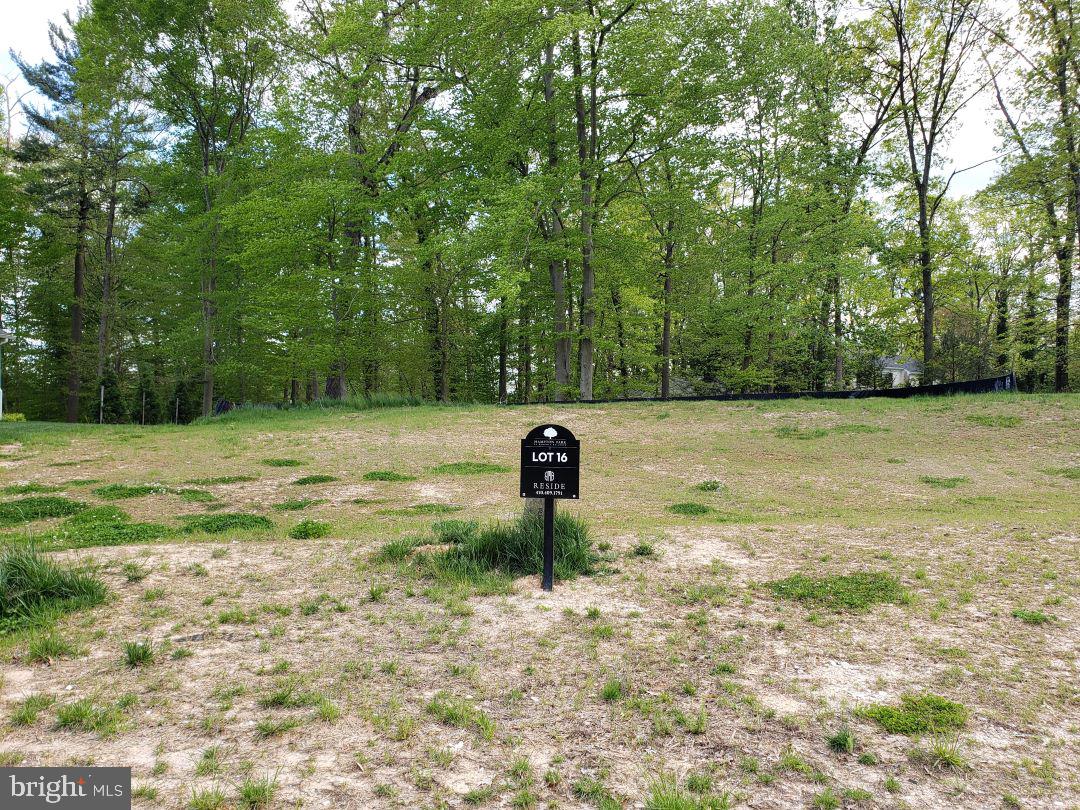 HAMPTON PARK - Land