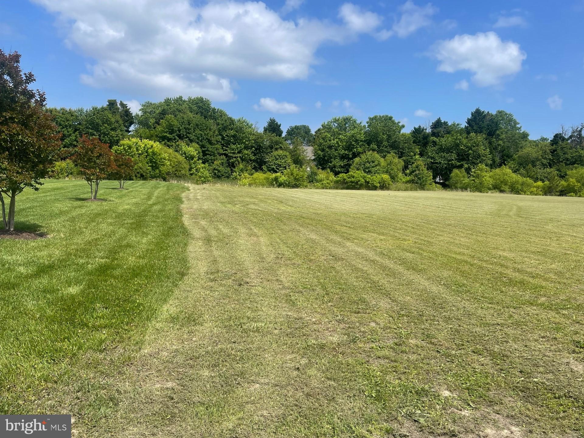 WEST NITHSDALE - Land